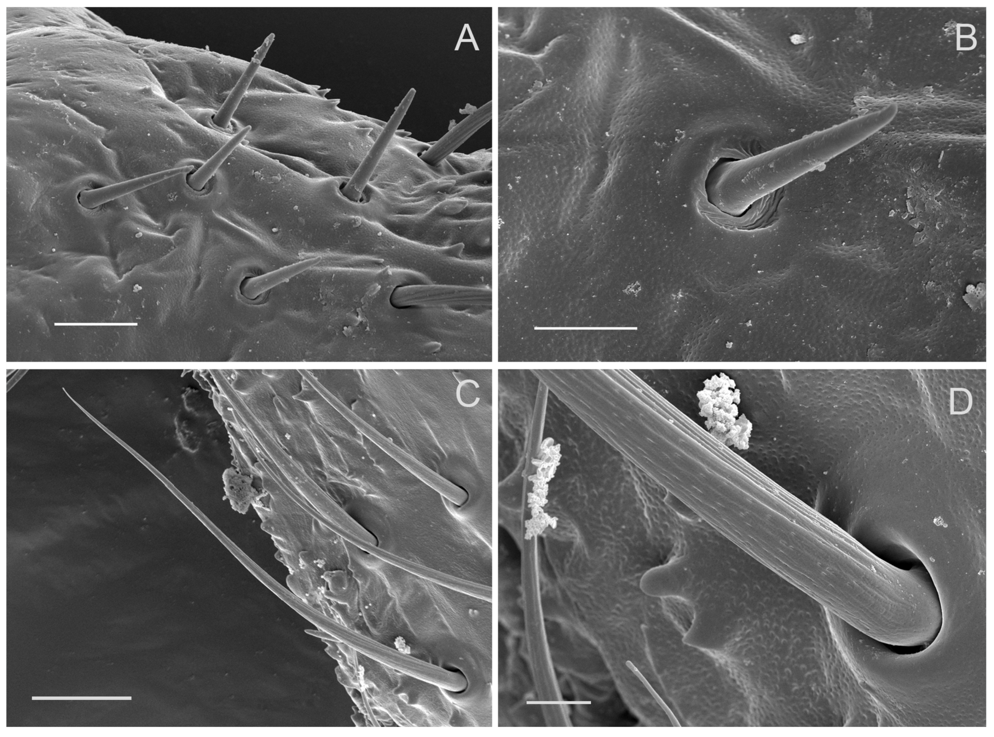 Insects 10 00056 g008