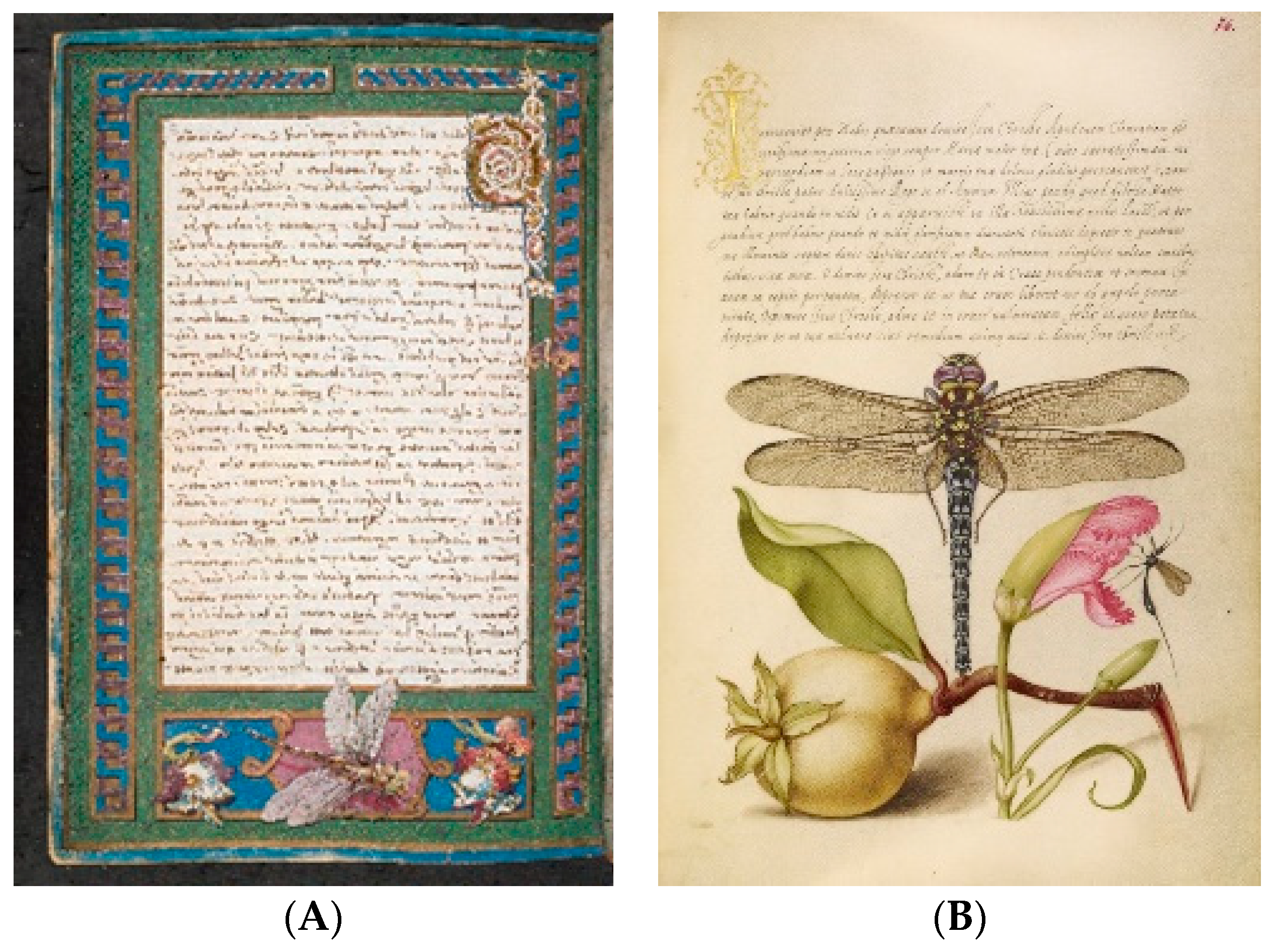 Insects 10 00062 g002