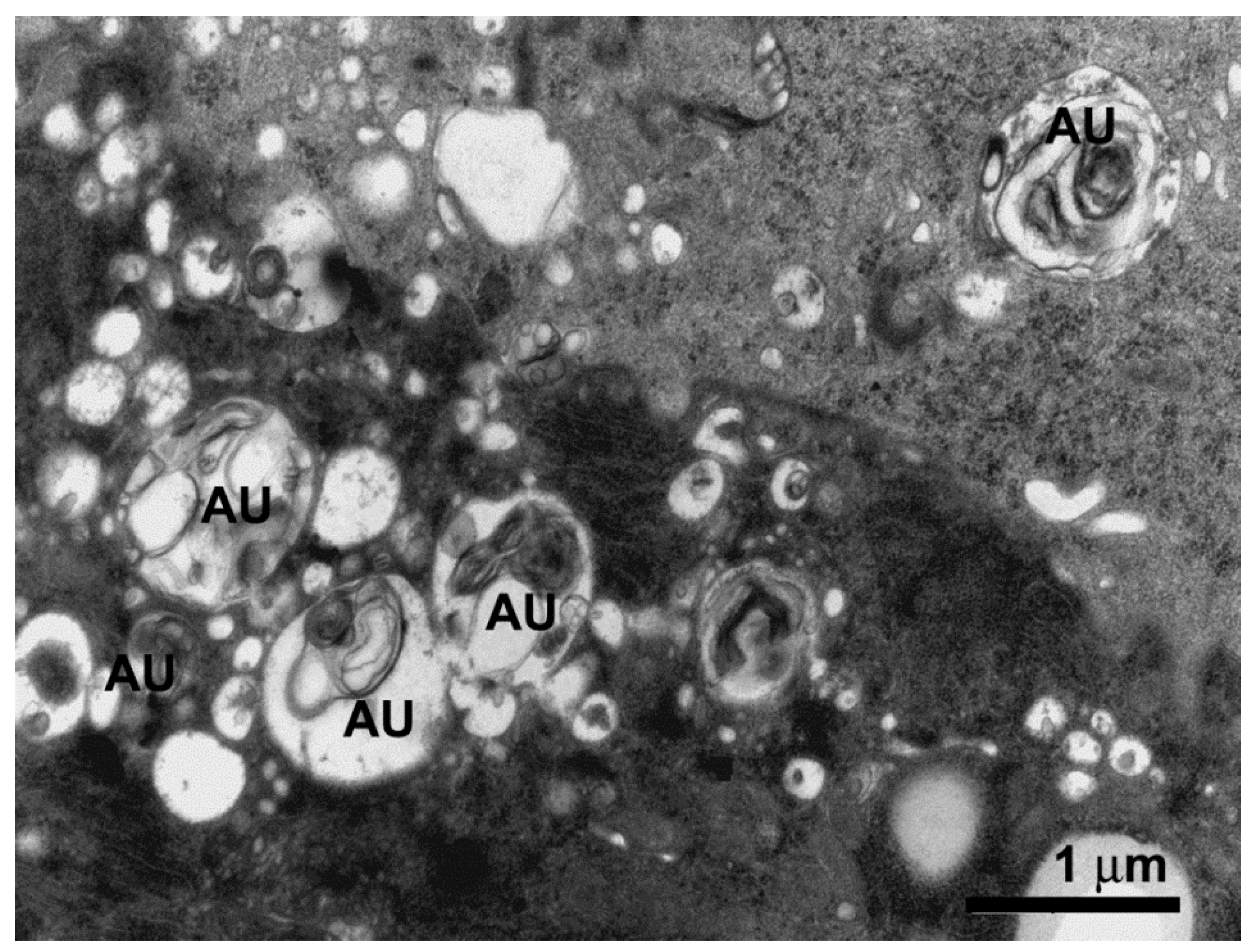 Insects 10 00073 g007