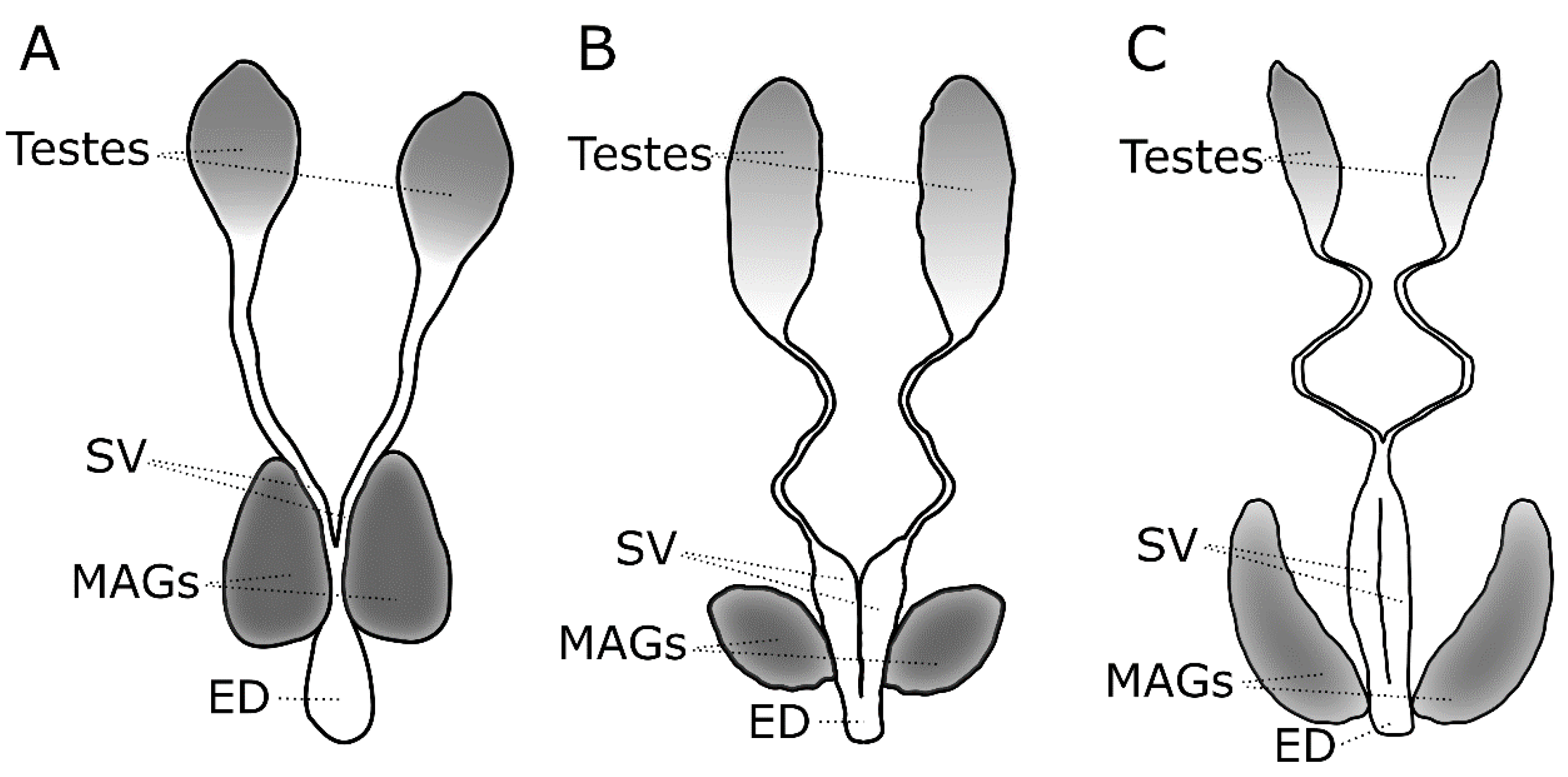 Insects 10 00074 g001