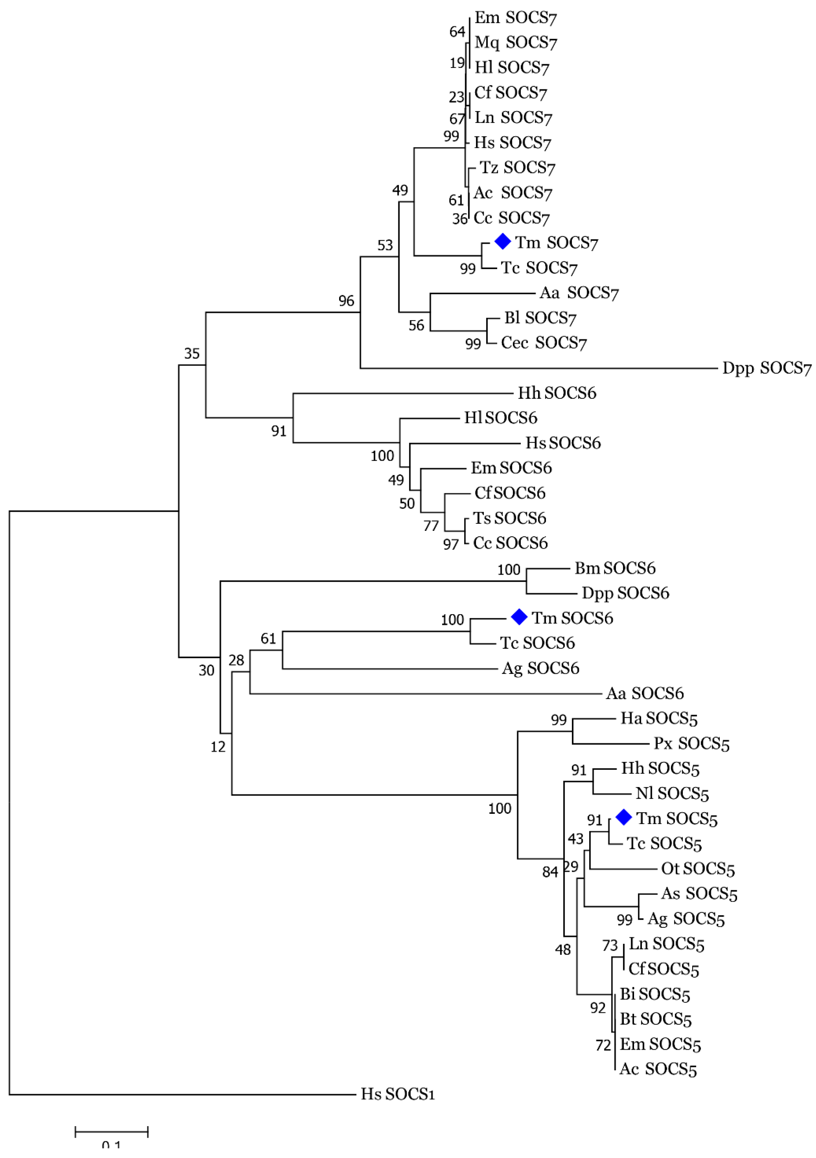 Insects 10 00076 g007