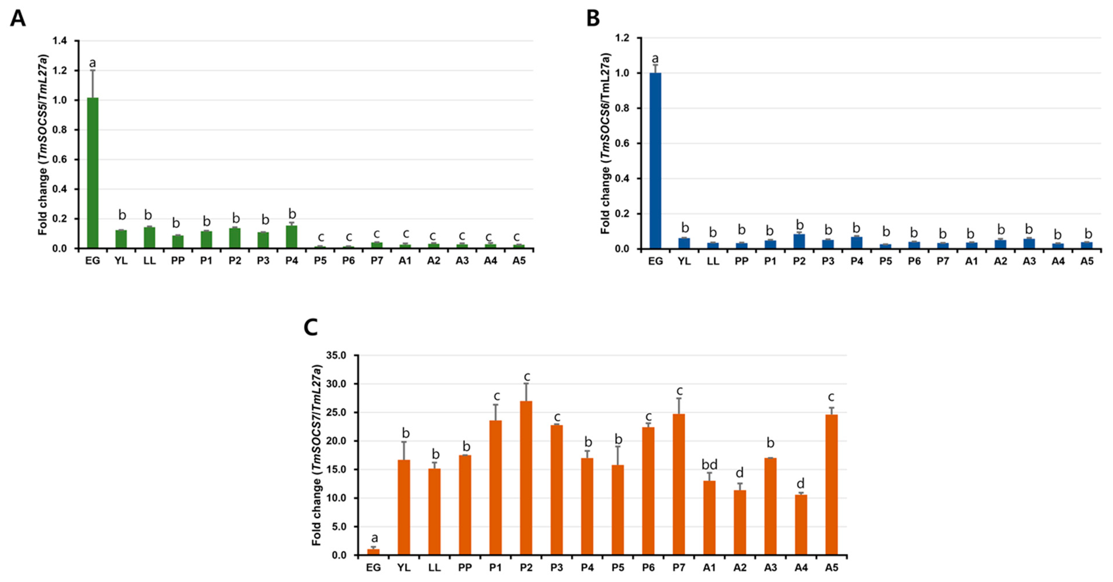 Insects 10 00076 g008