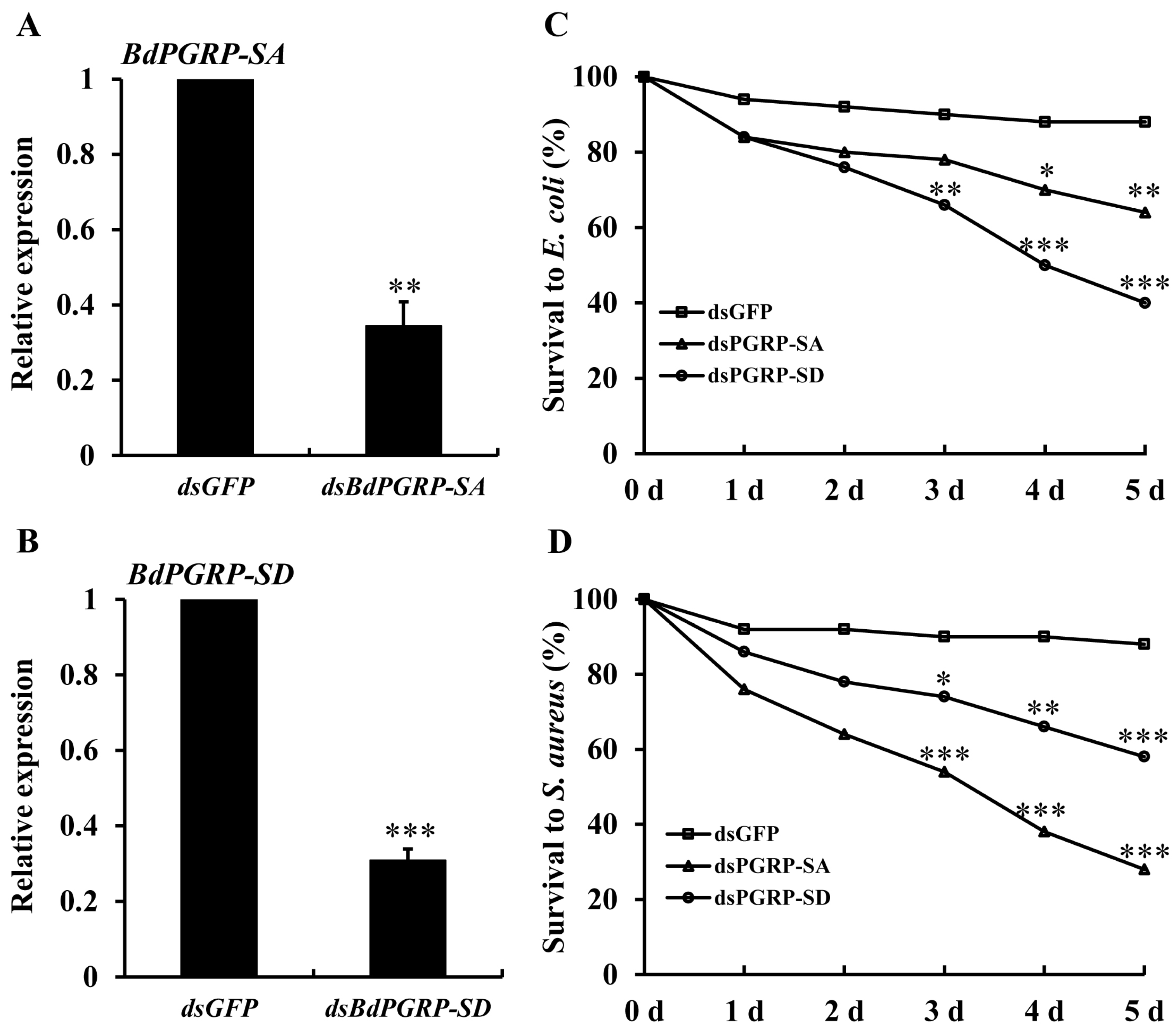 Insects 10 00079 g005