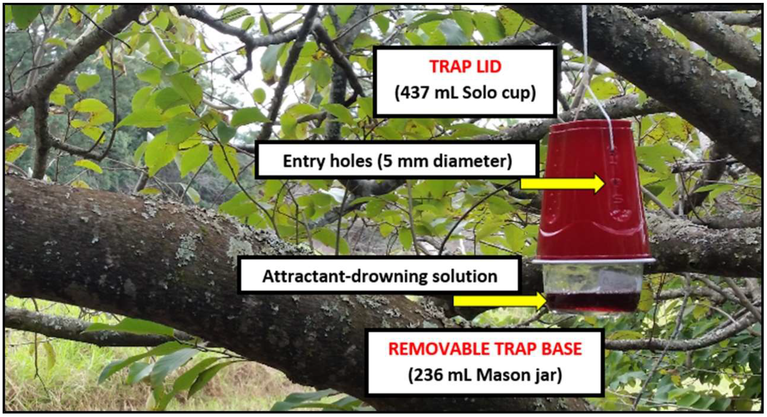 Insects 10 00080 g001