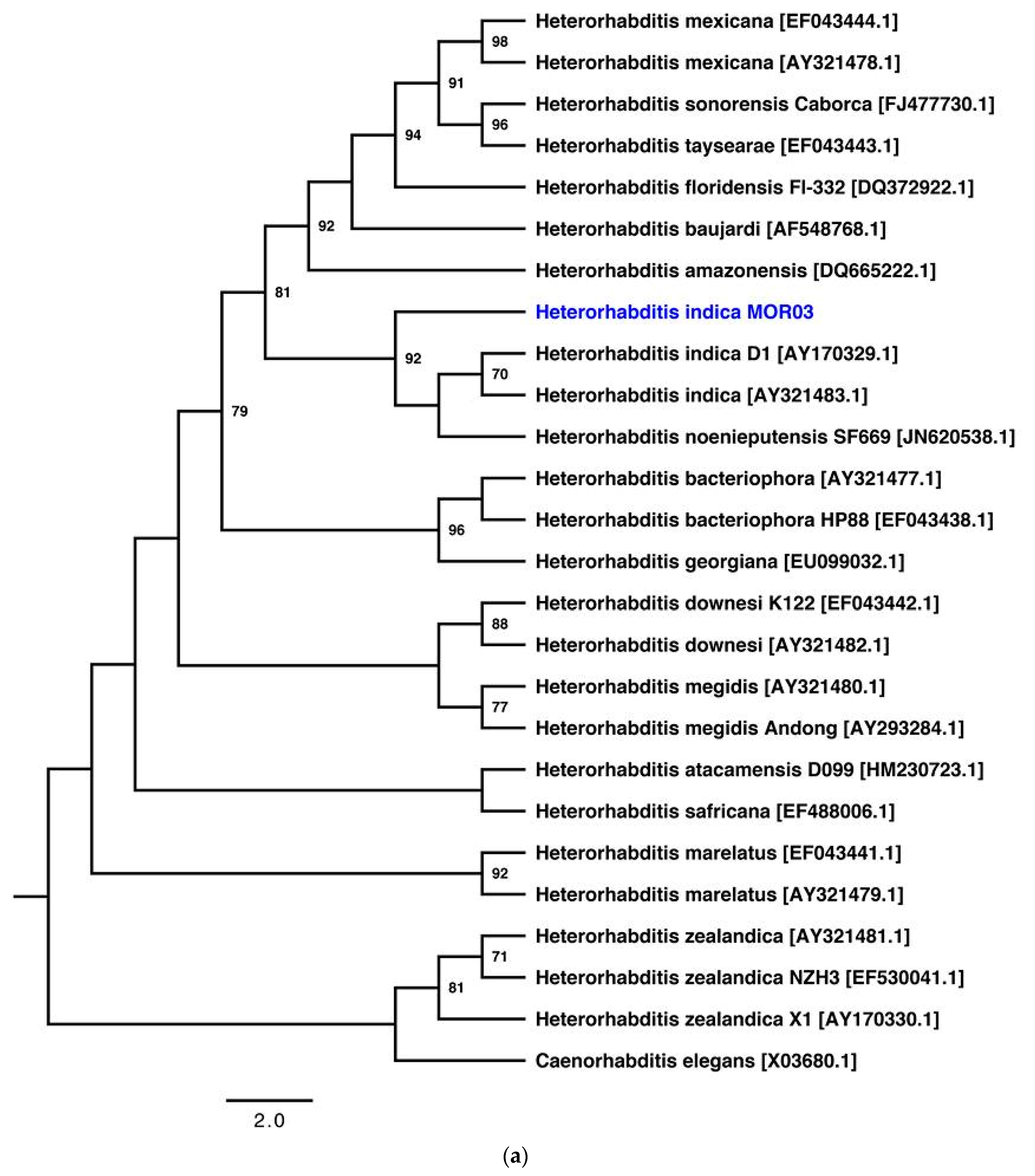 Insects 10 00083 g001a