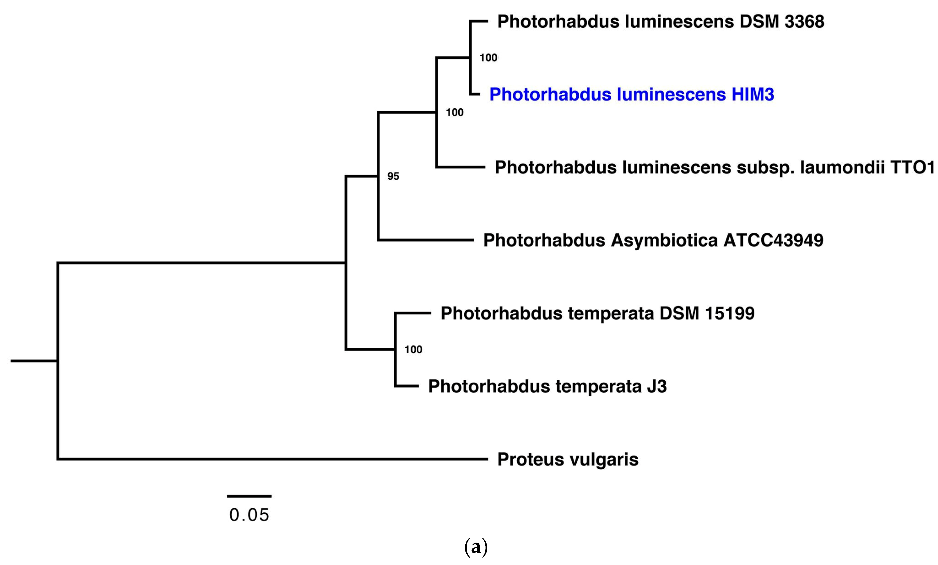 Insects 10 00083 g002a