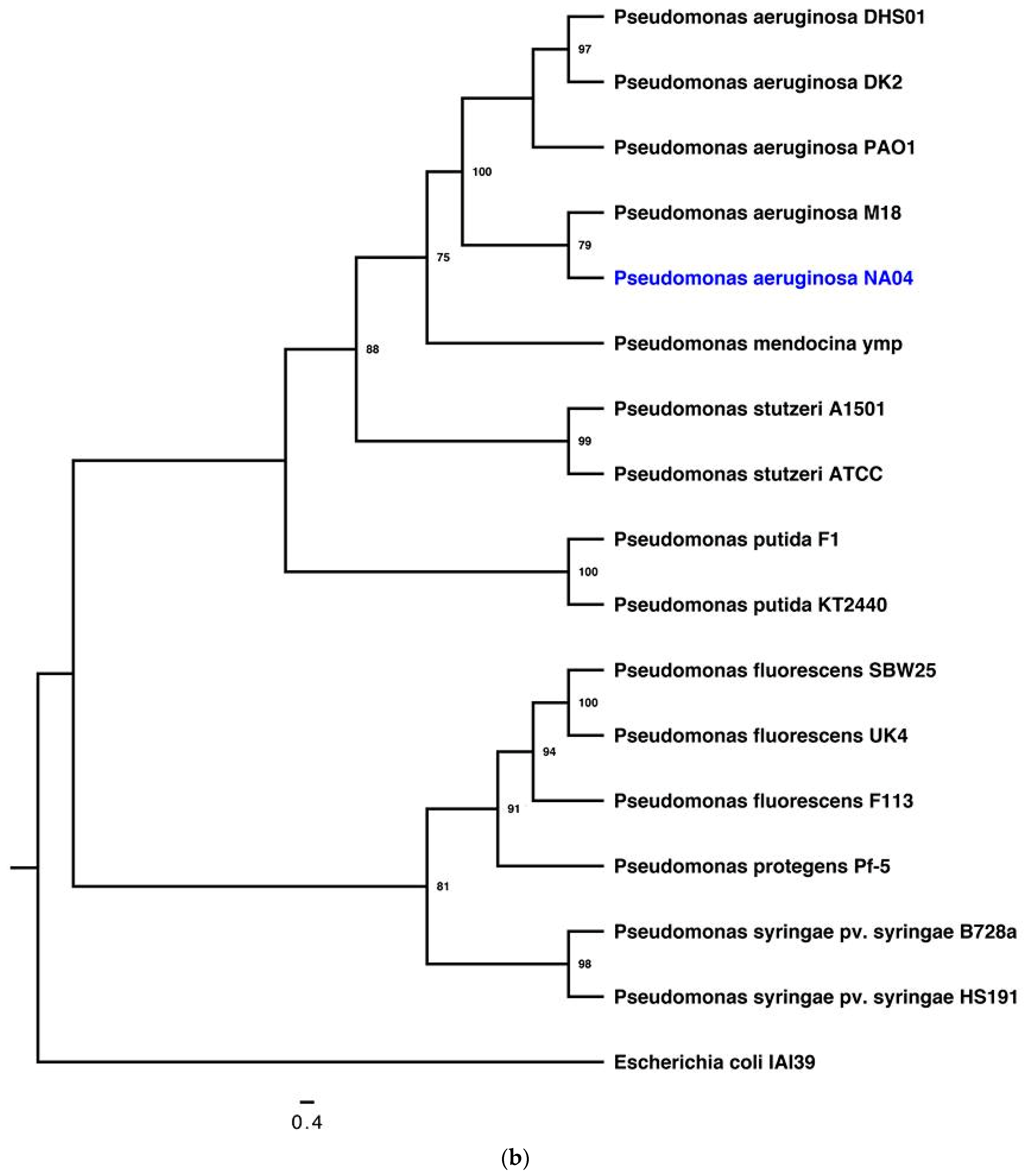Insects 10 00083 g002b