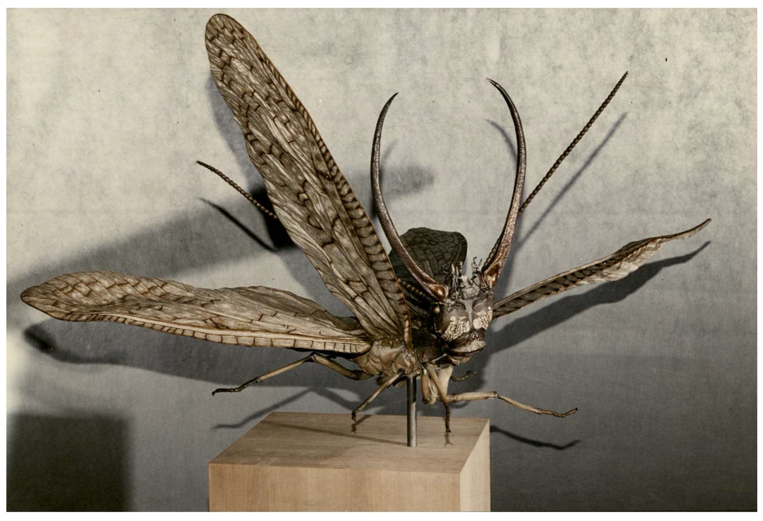 Insects 10 00086 g004