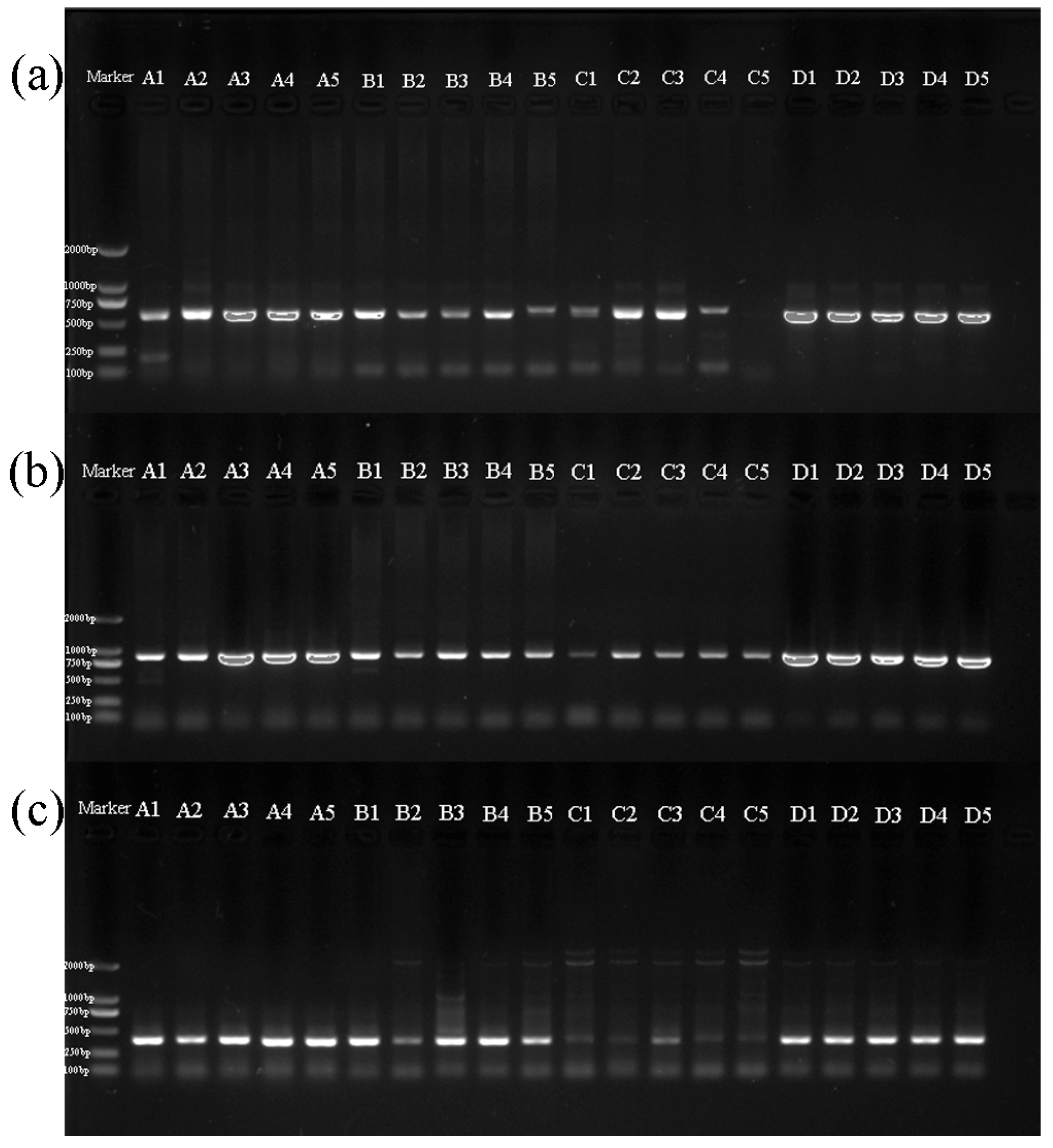 Insects 10 00091 g001