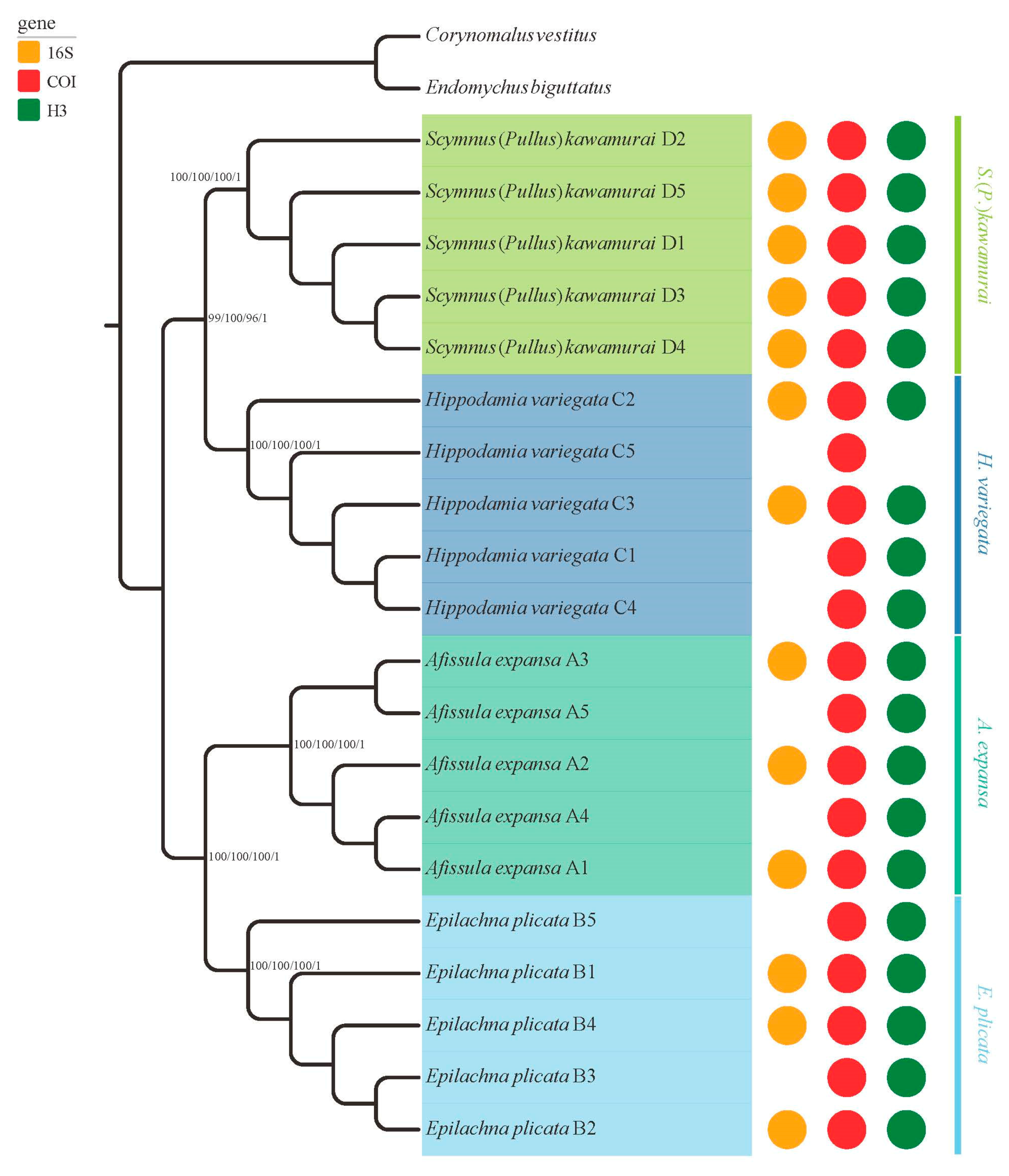 Insects 10 00091 g003
