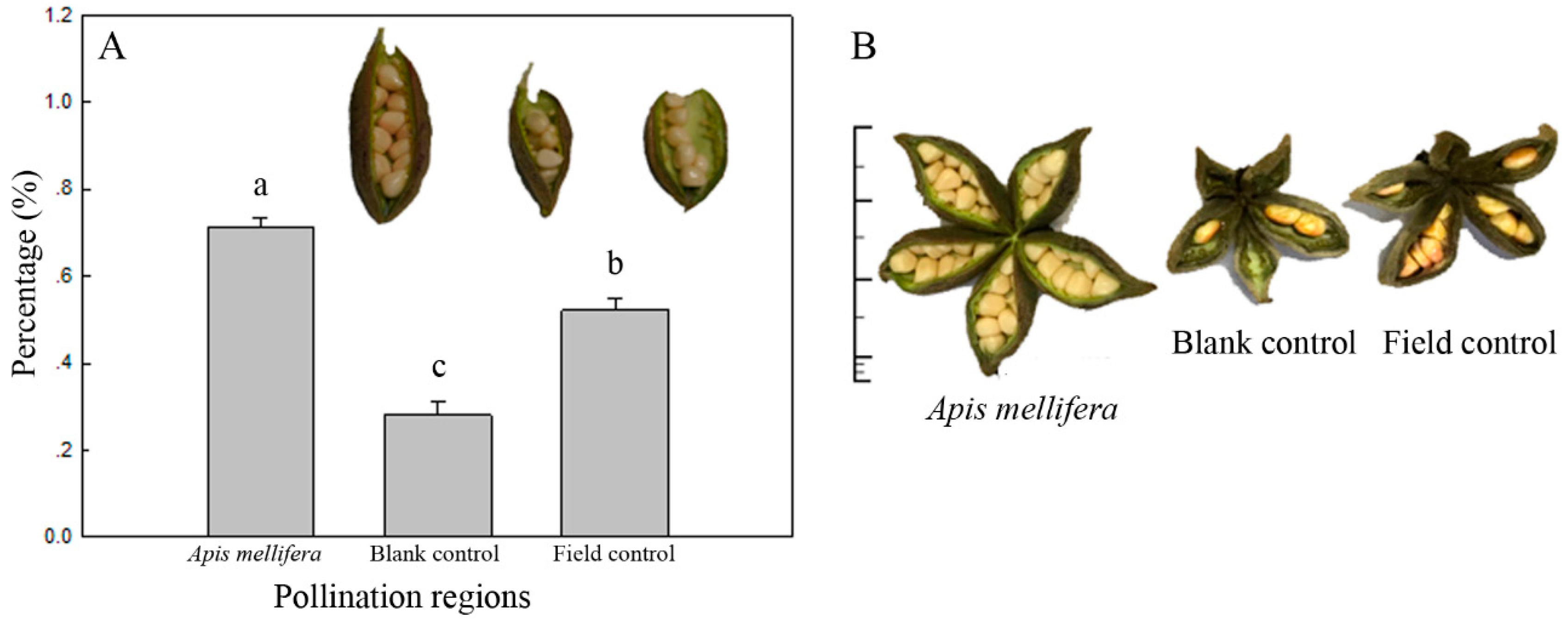 Insects 10 00116 g006