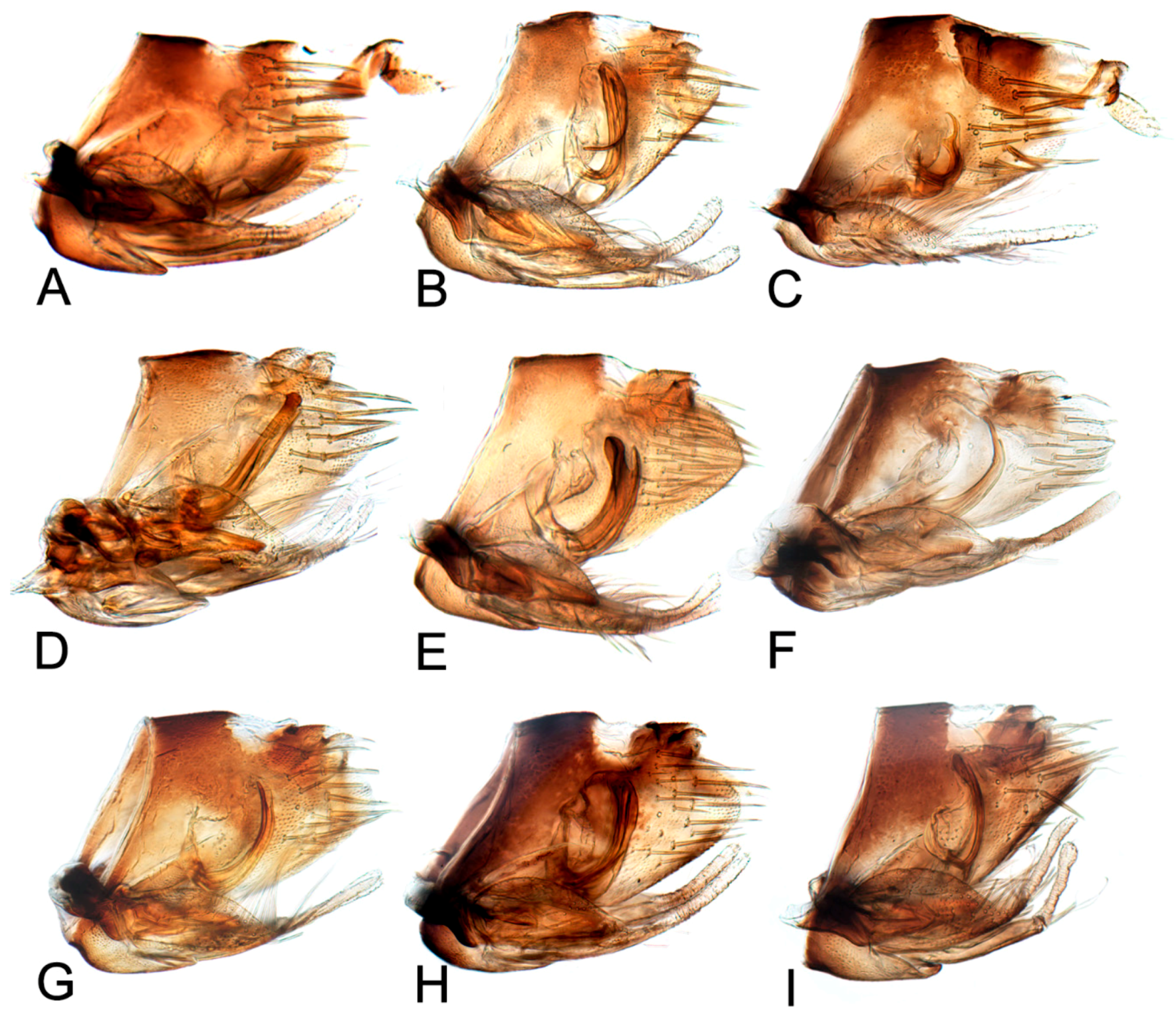 Insects 10 00120 g010