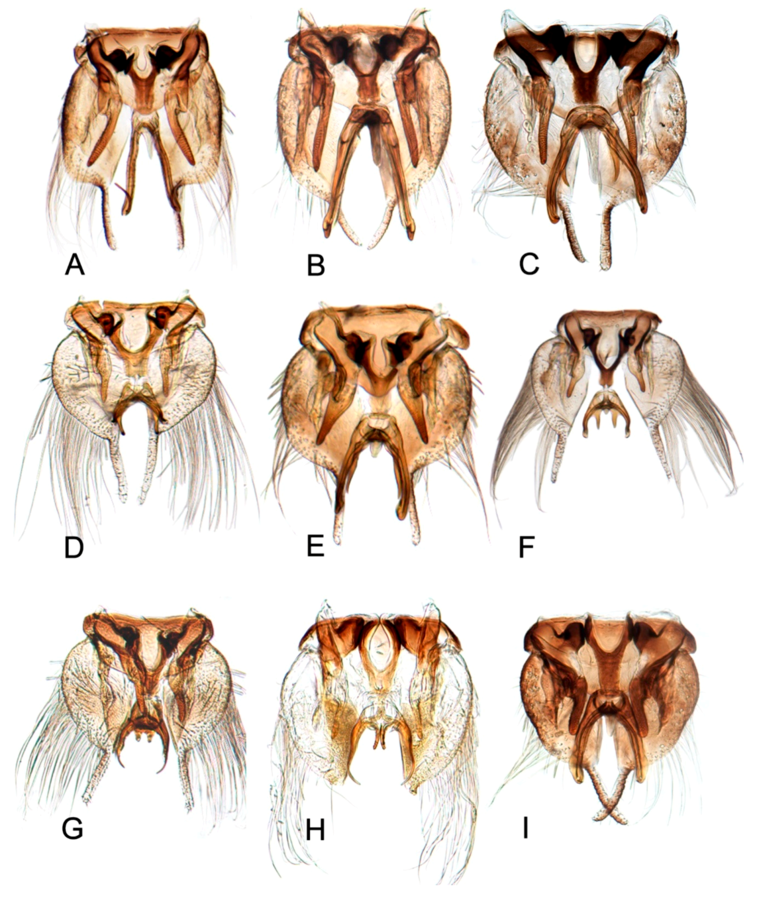 Insects 10 00120 g011