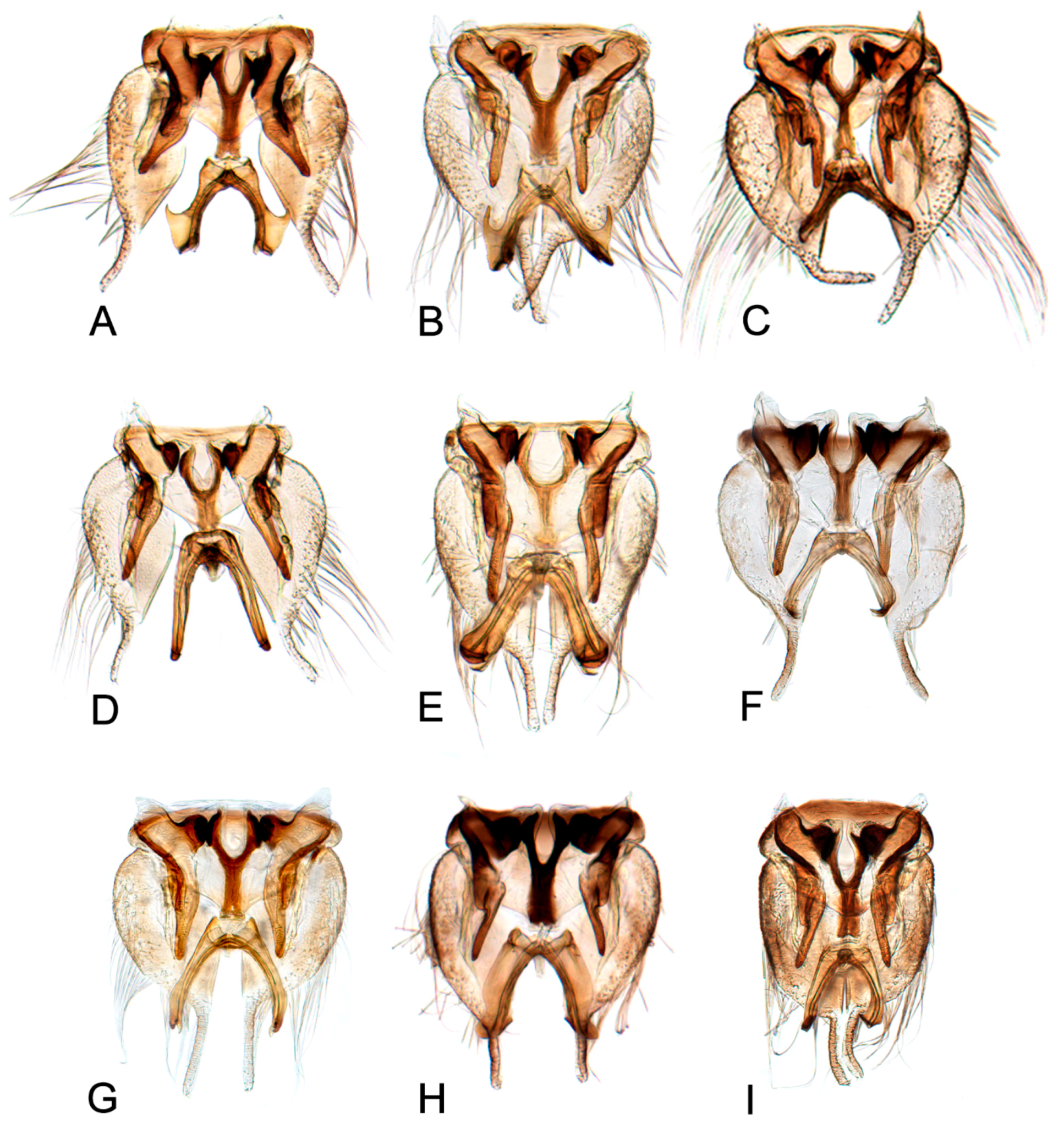 Insects 10 00120 g013