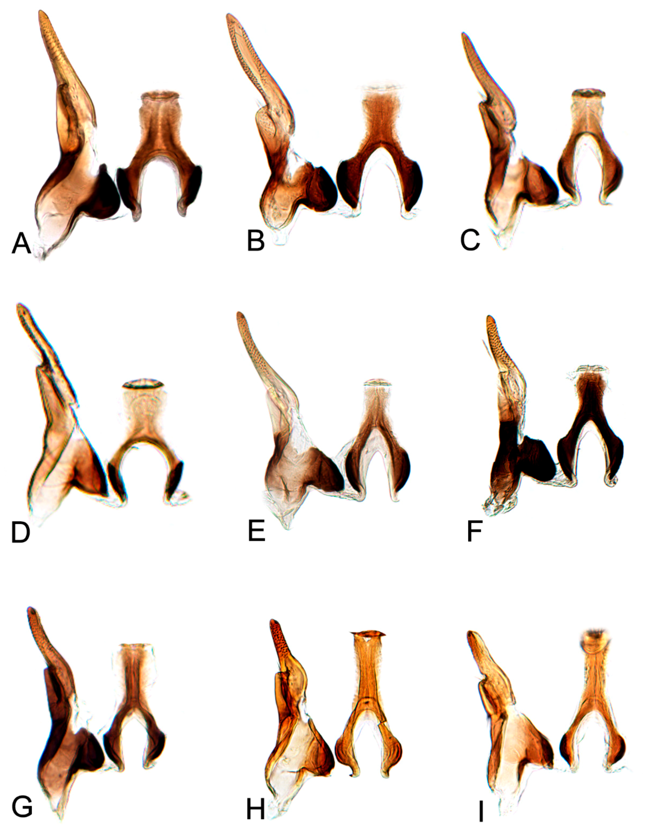 Insects 10 00120 g015