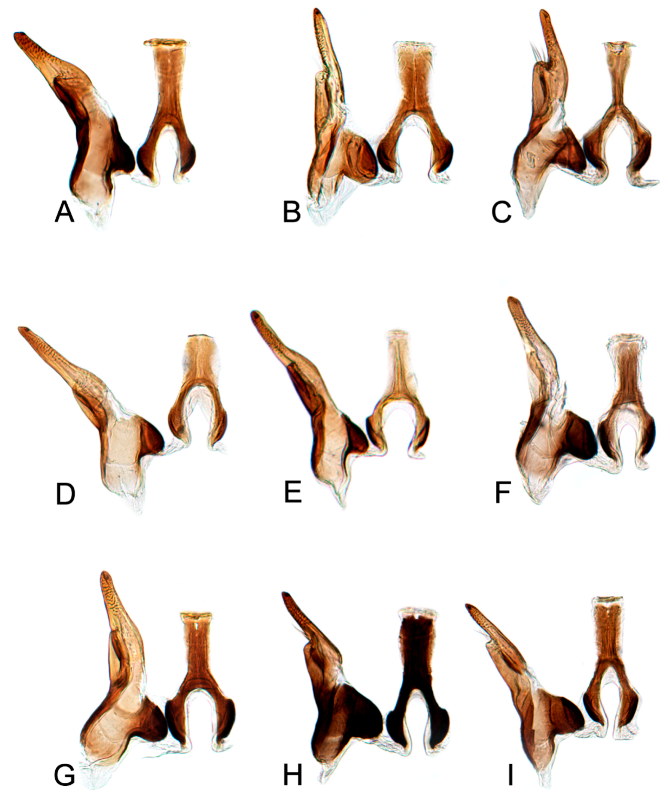 Insects 10 00120 g016