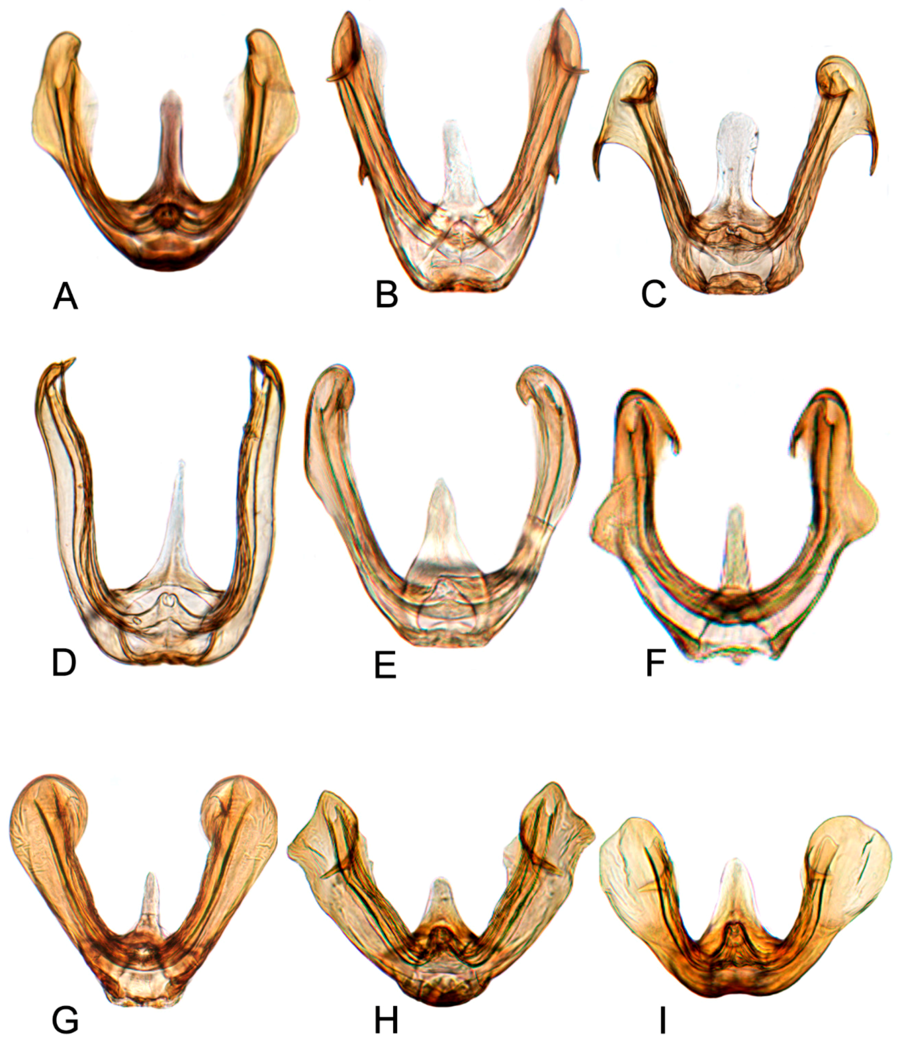 Insects 10 00120 g018