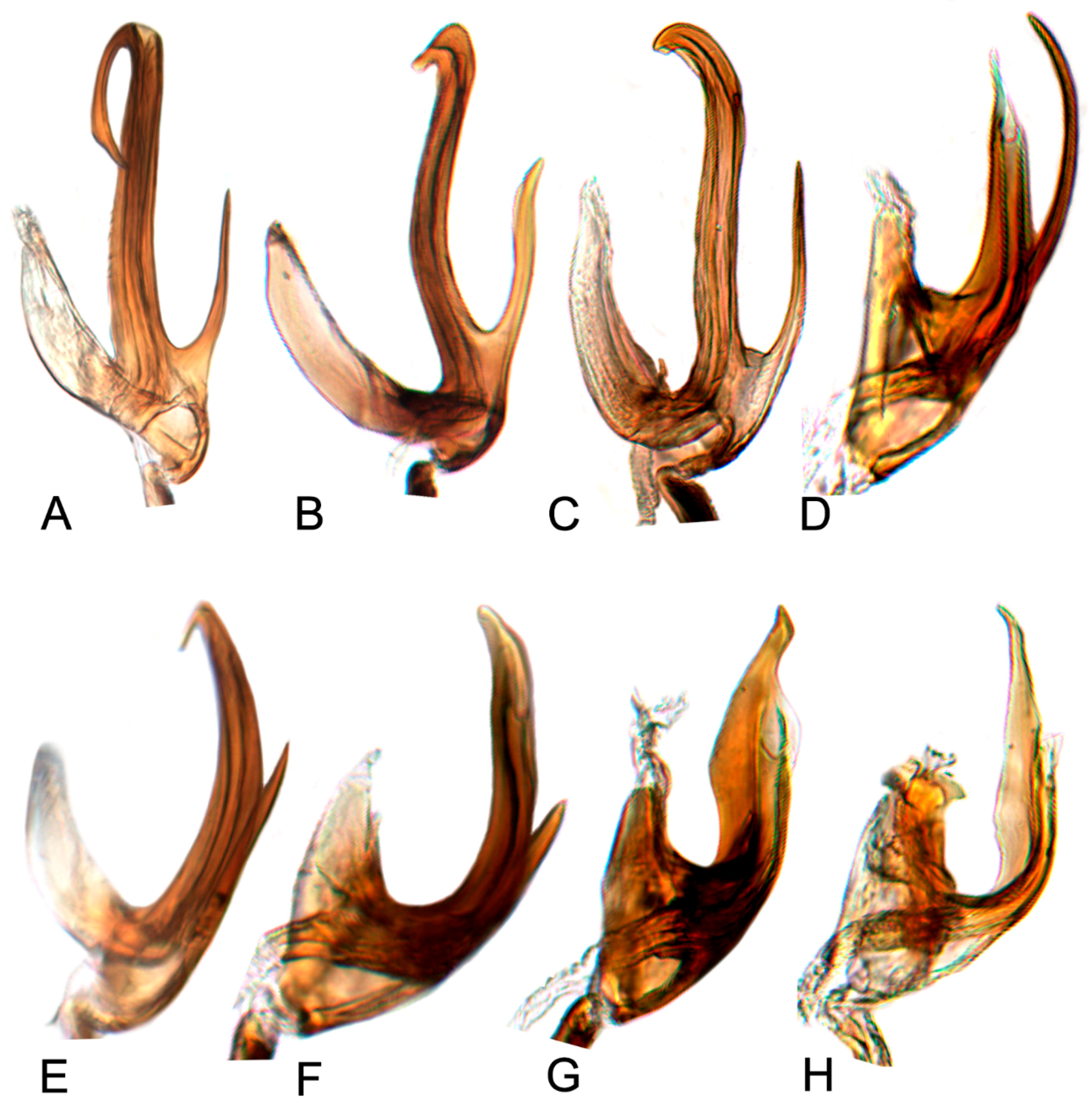 Insects 10 00120 g020