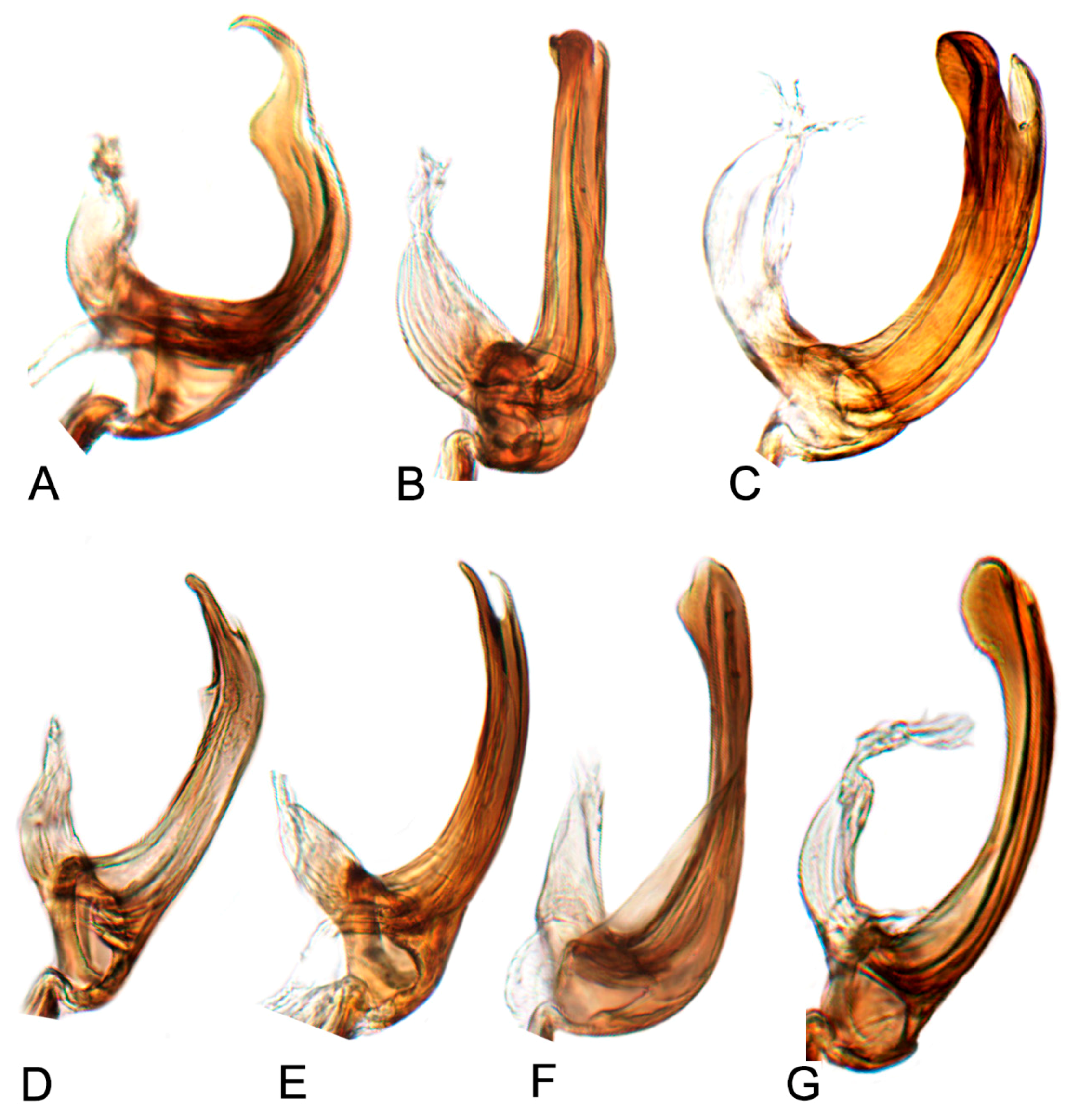 Insects 10 00120 g022