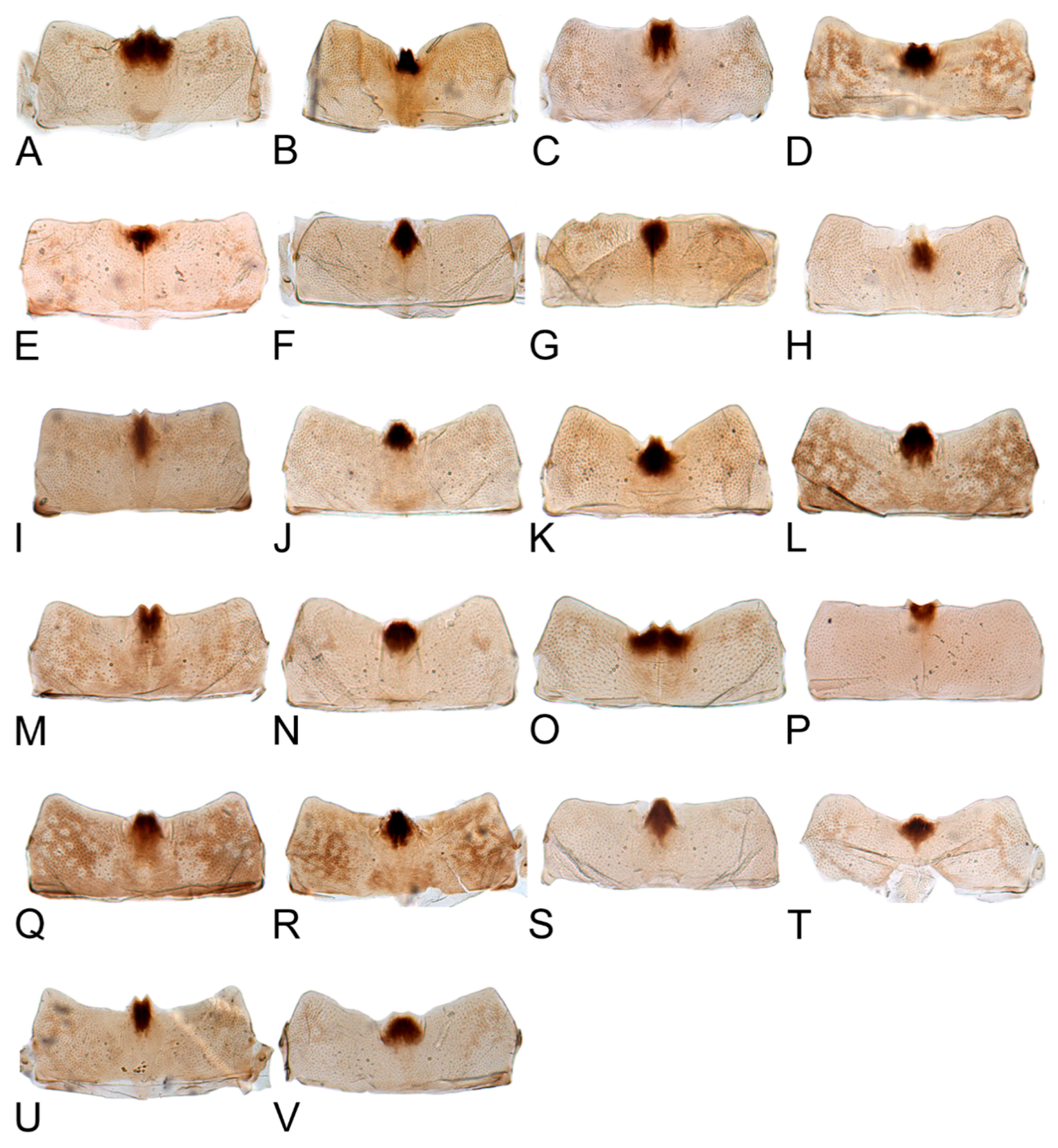 Insects 10 00120 g023