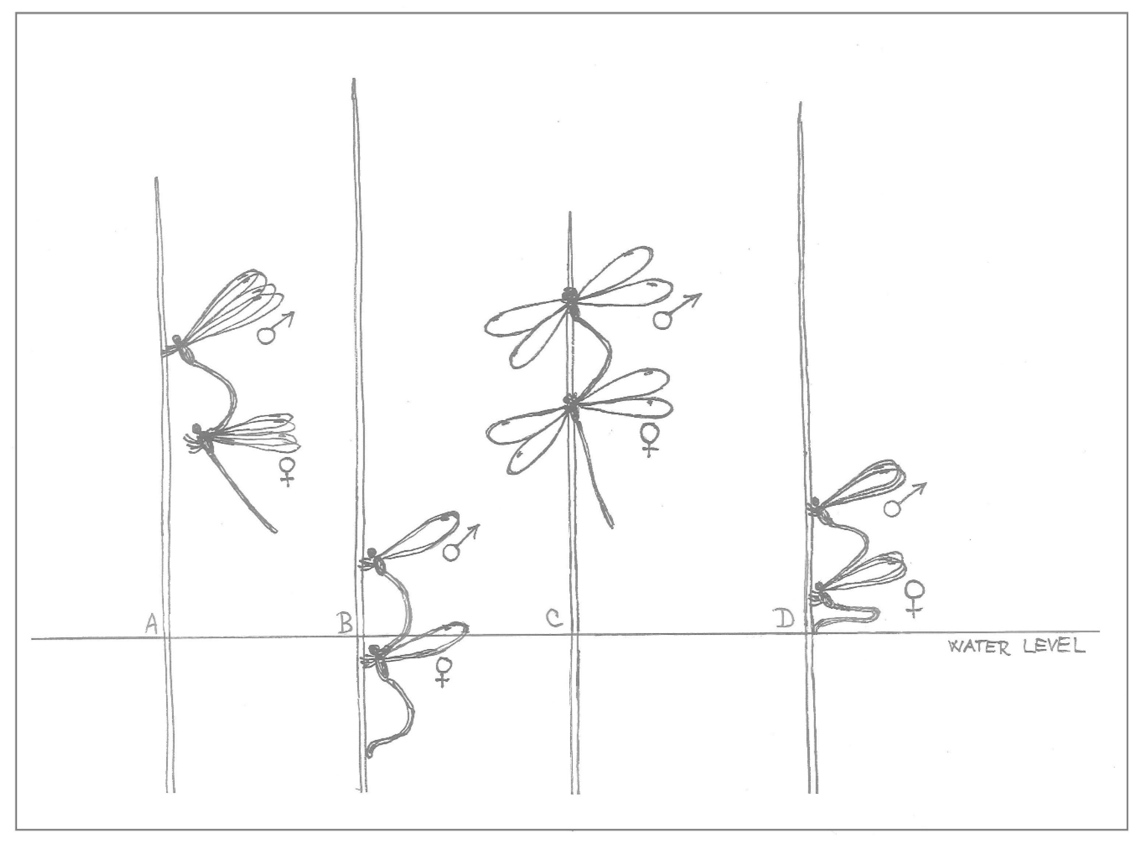 Insects 10 00124 g001