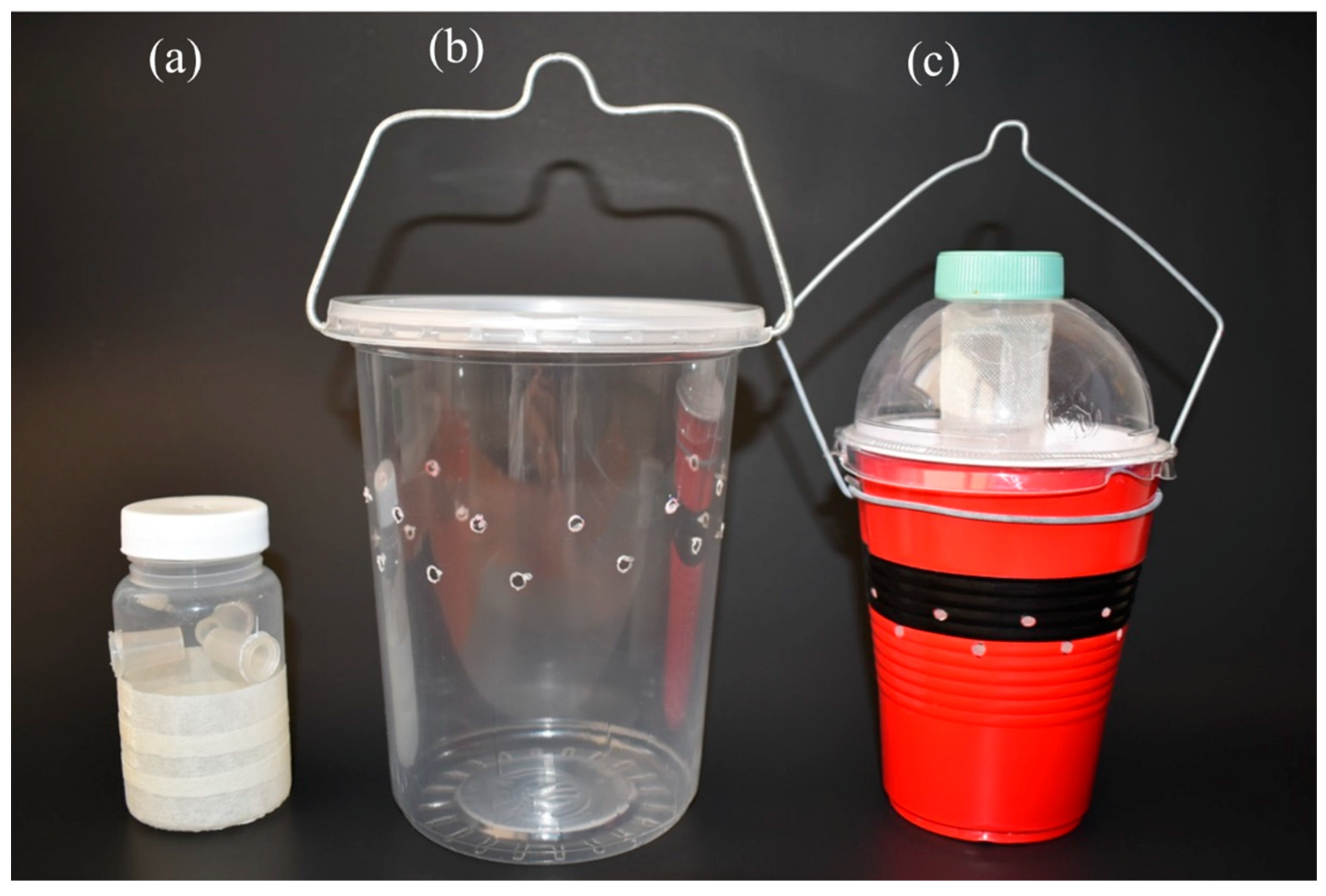 Insects 10 00137 g001