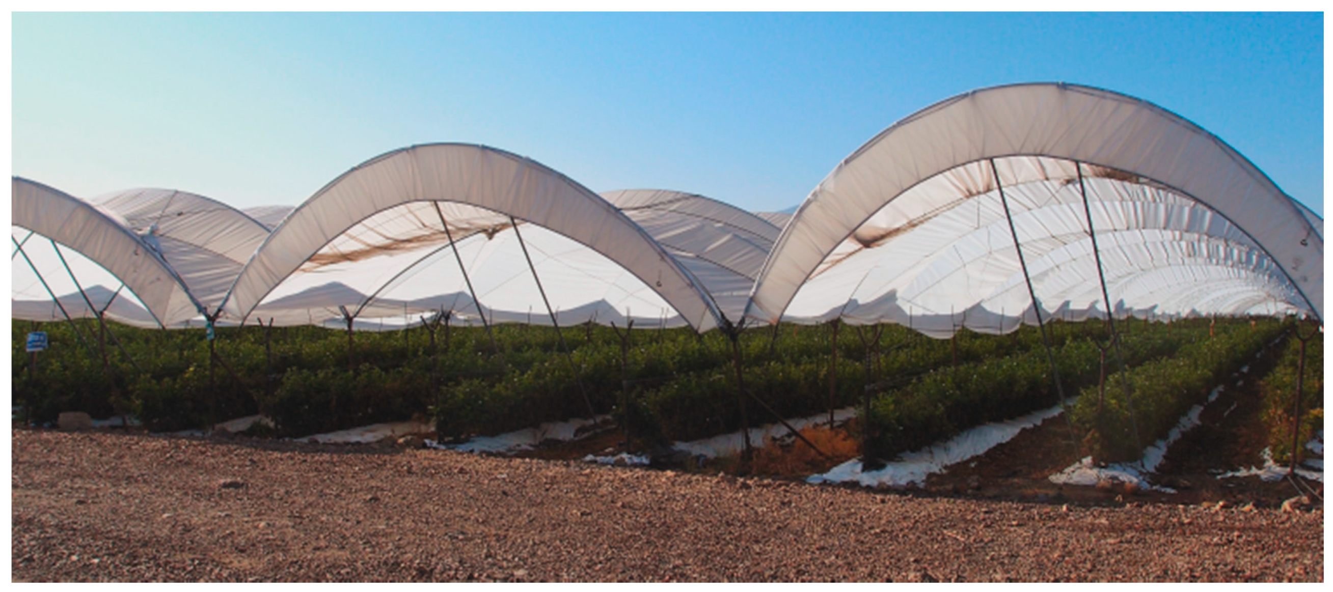 Insects 10 00137 g002