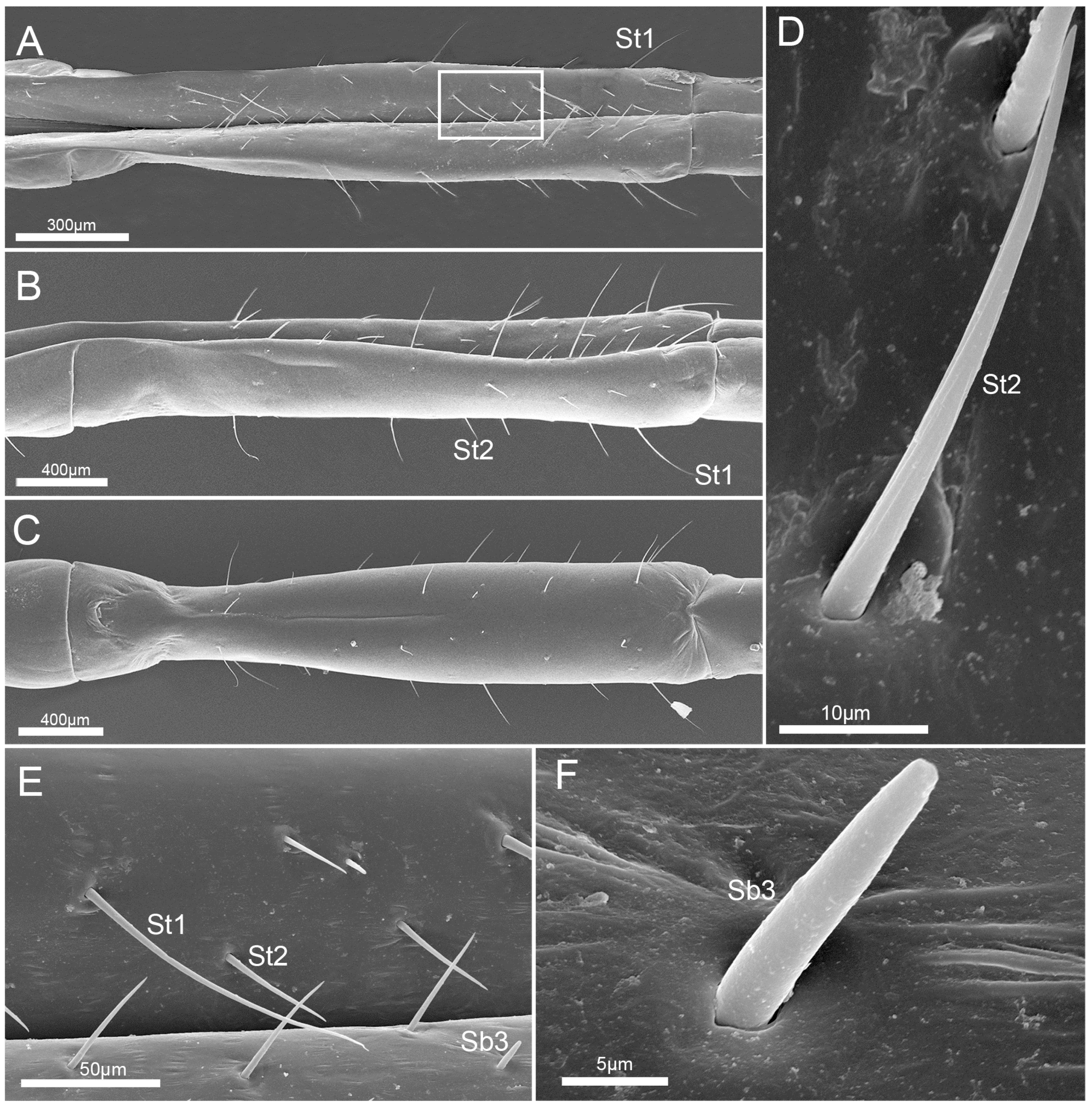 Insects 10 00143 g005 Insects 10 00143 g005