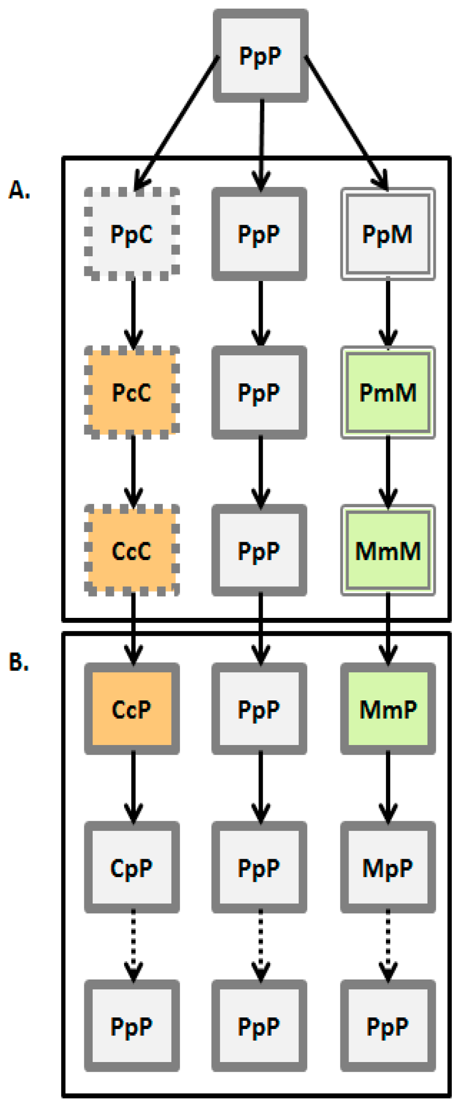 Insects 10 00153 g001