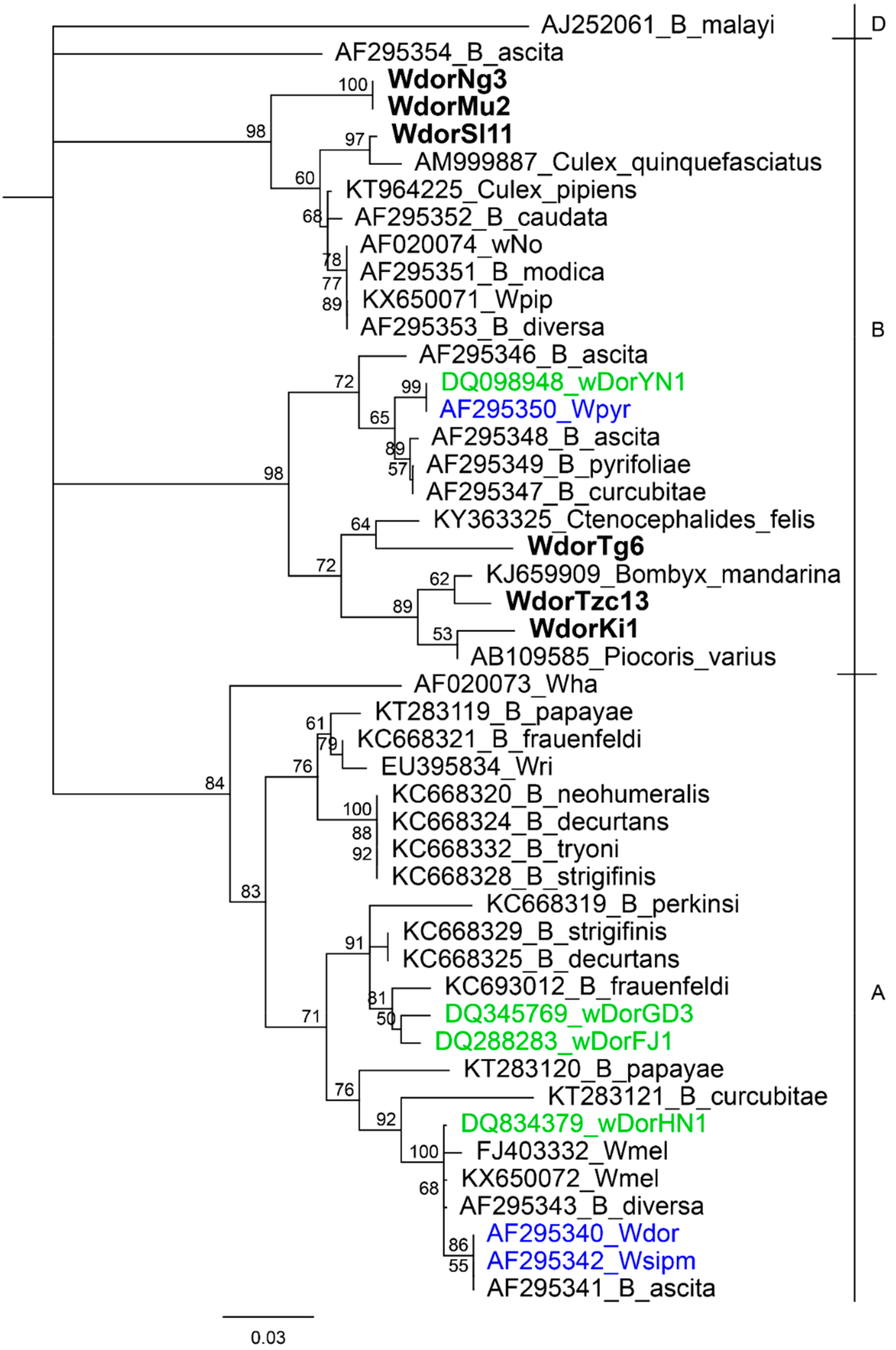 Insects 10 00155 g001