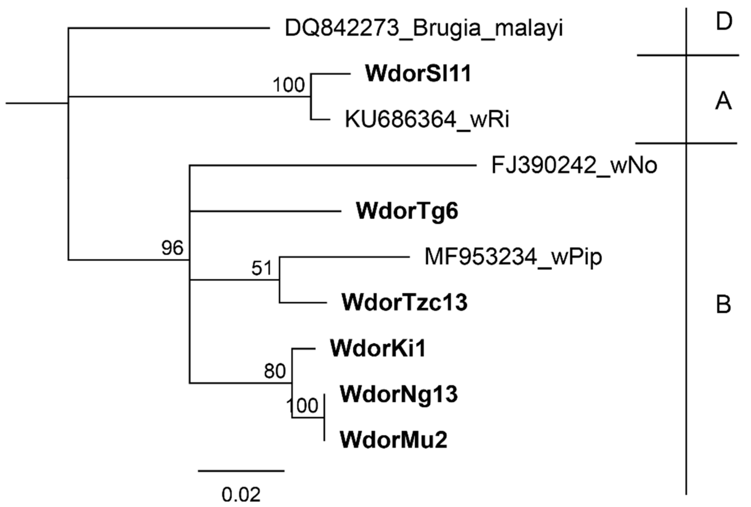 Insects 10 00155 g002