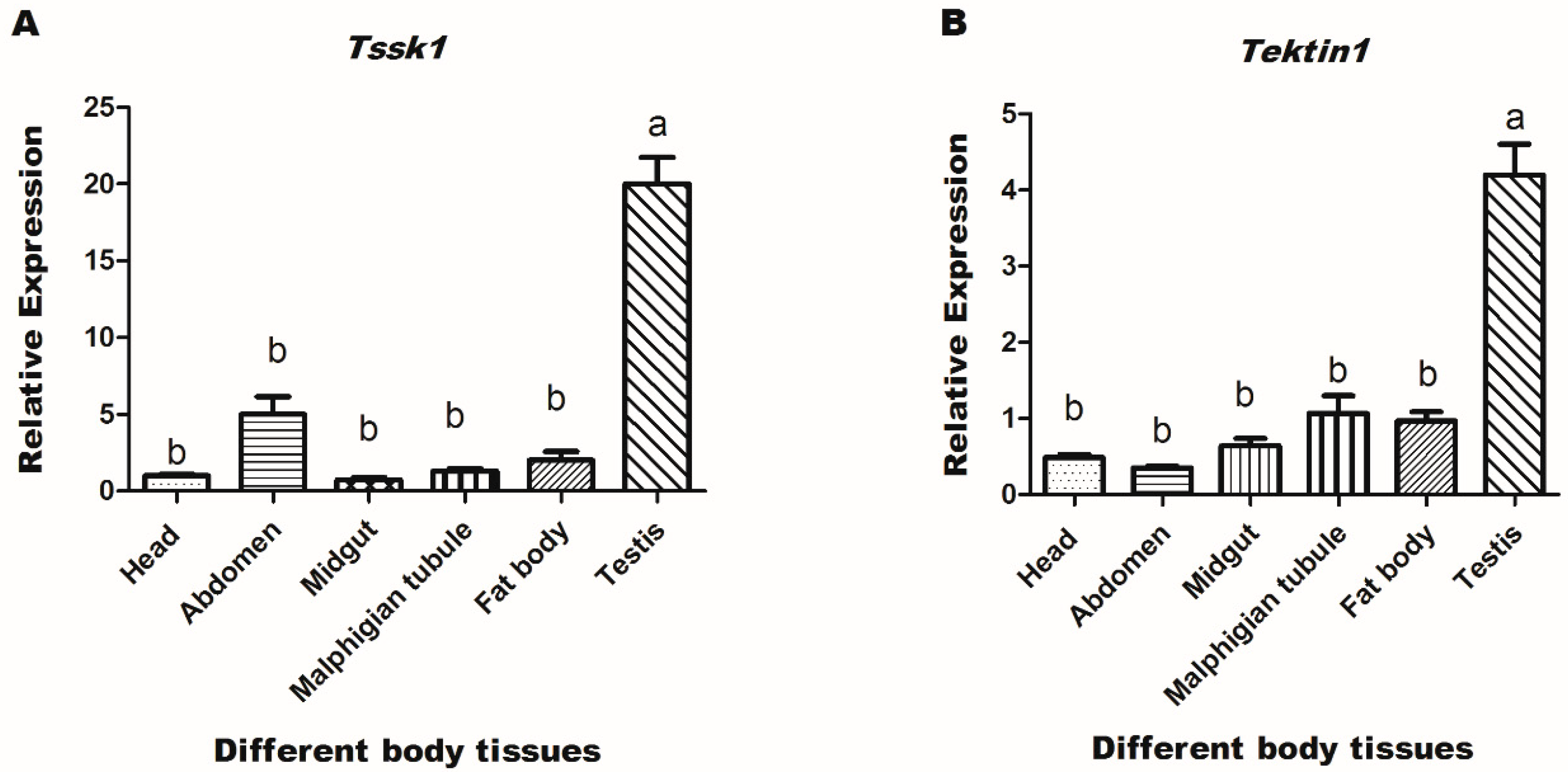 Insects 10 00164 g003