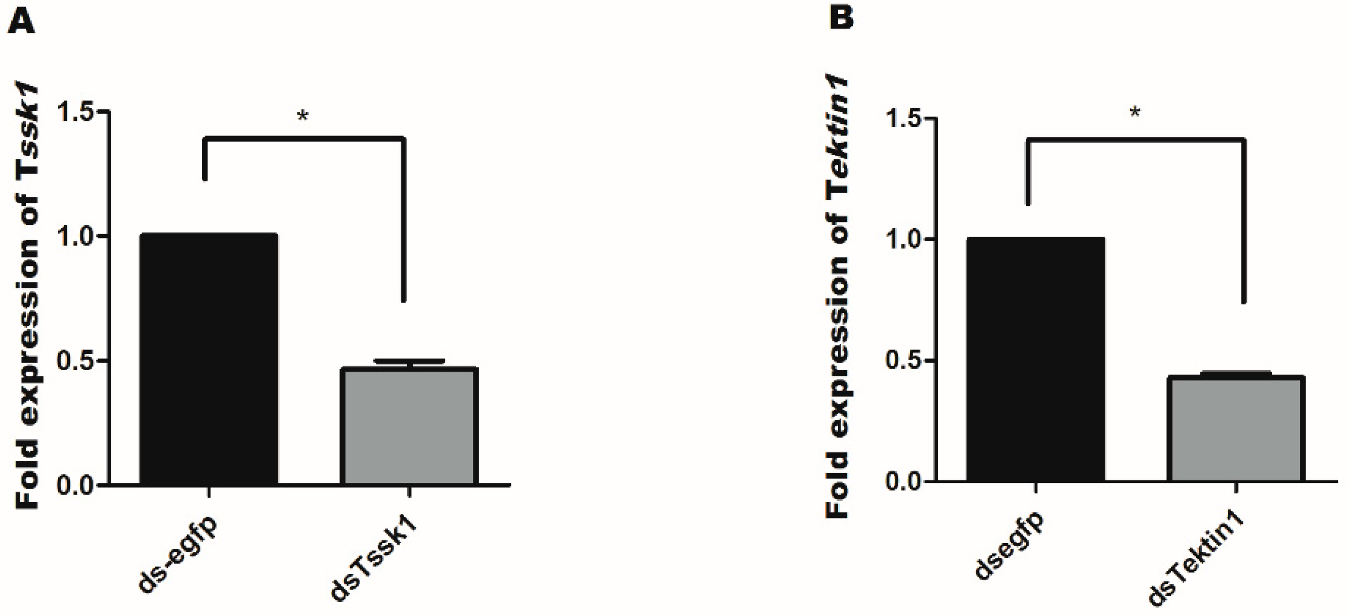 Insects 10 00164 g005