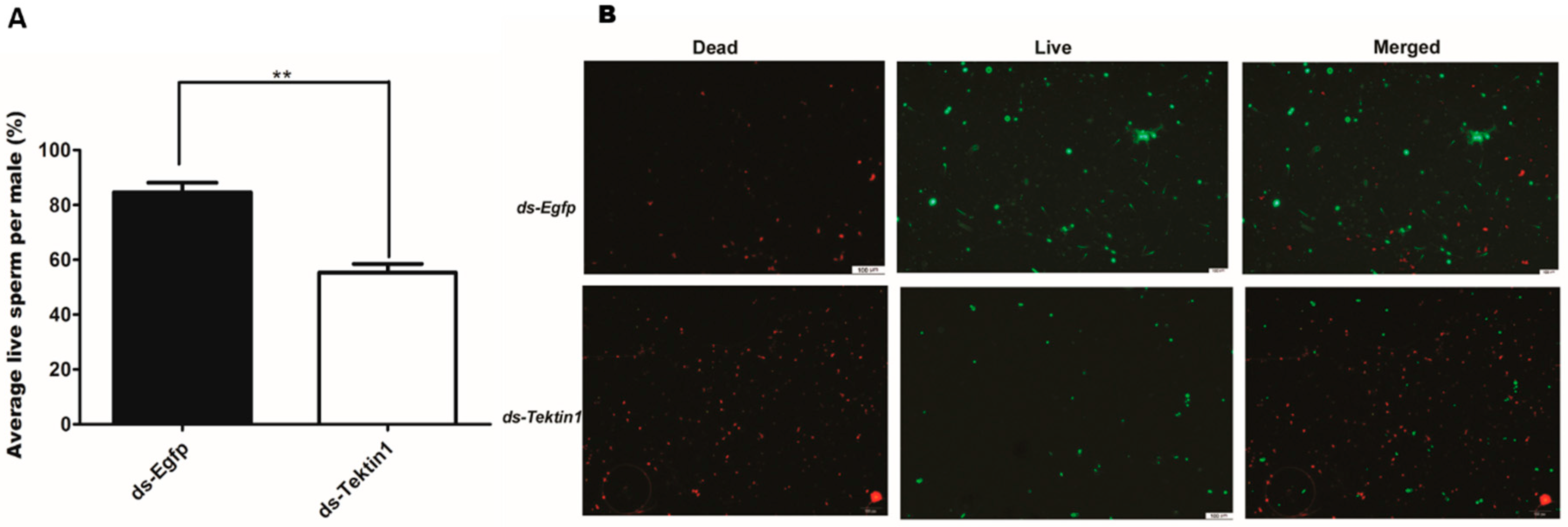 Insects 10 00164 g008