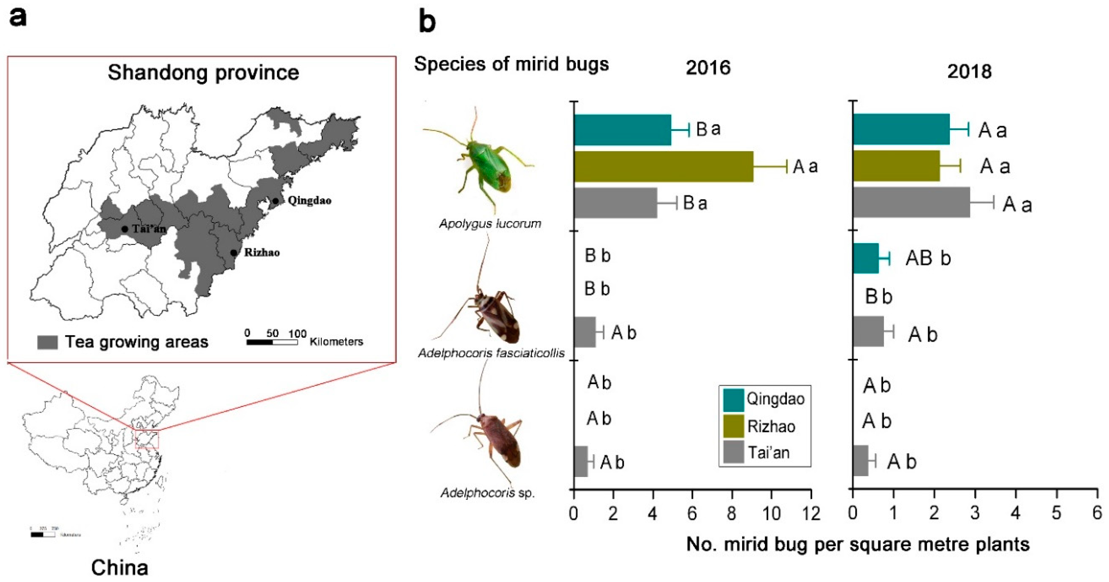 Insects 10 00167 g002
