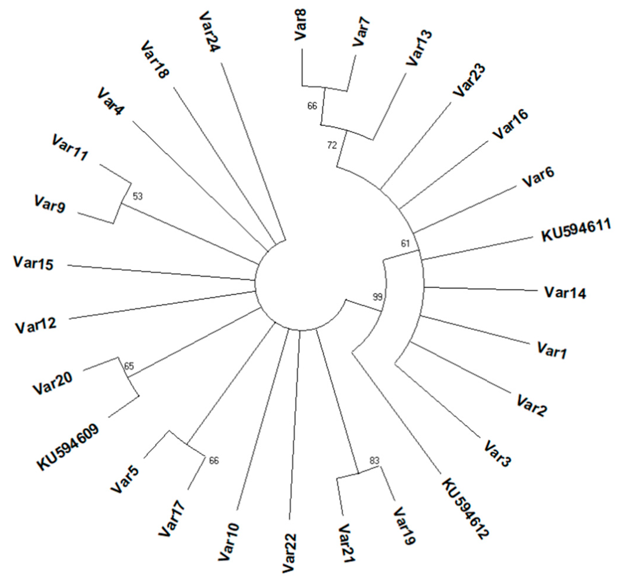 Insects 10 00174 g004
