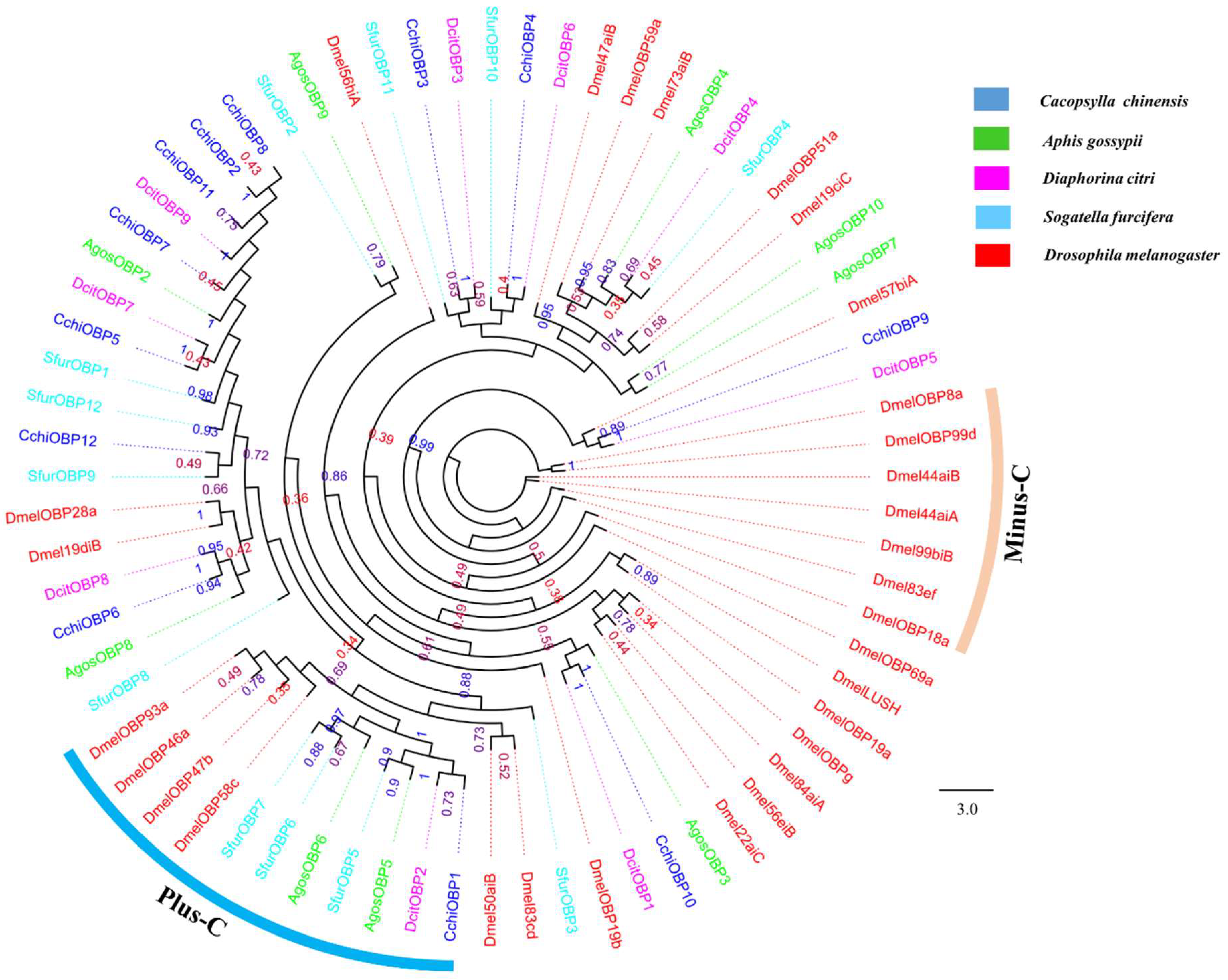 Insects 10 00175 g003 Insects 10 00175 g003