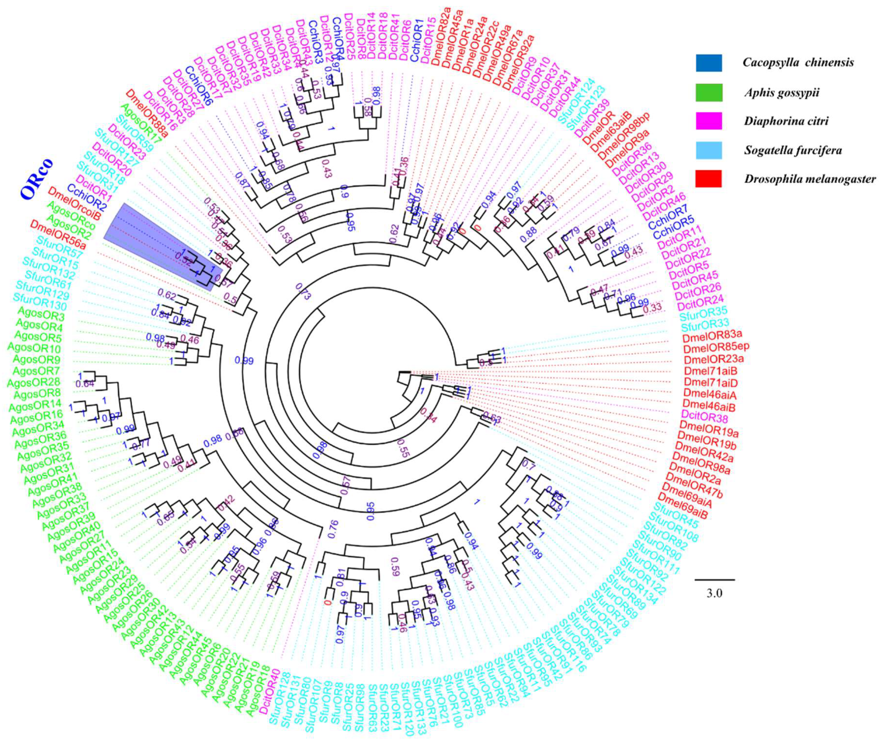 Insects 10 00175 g007 Insects 10 00175 g007
