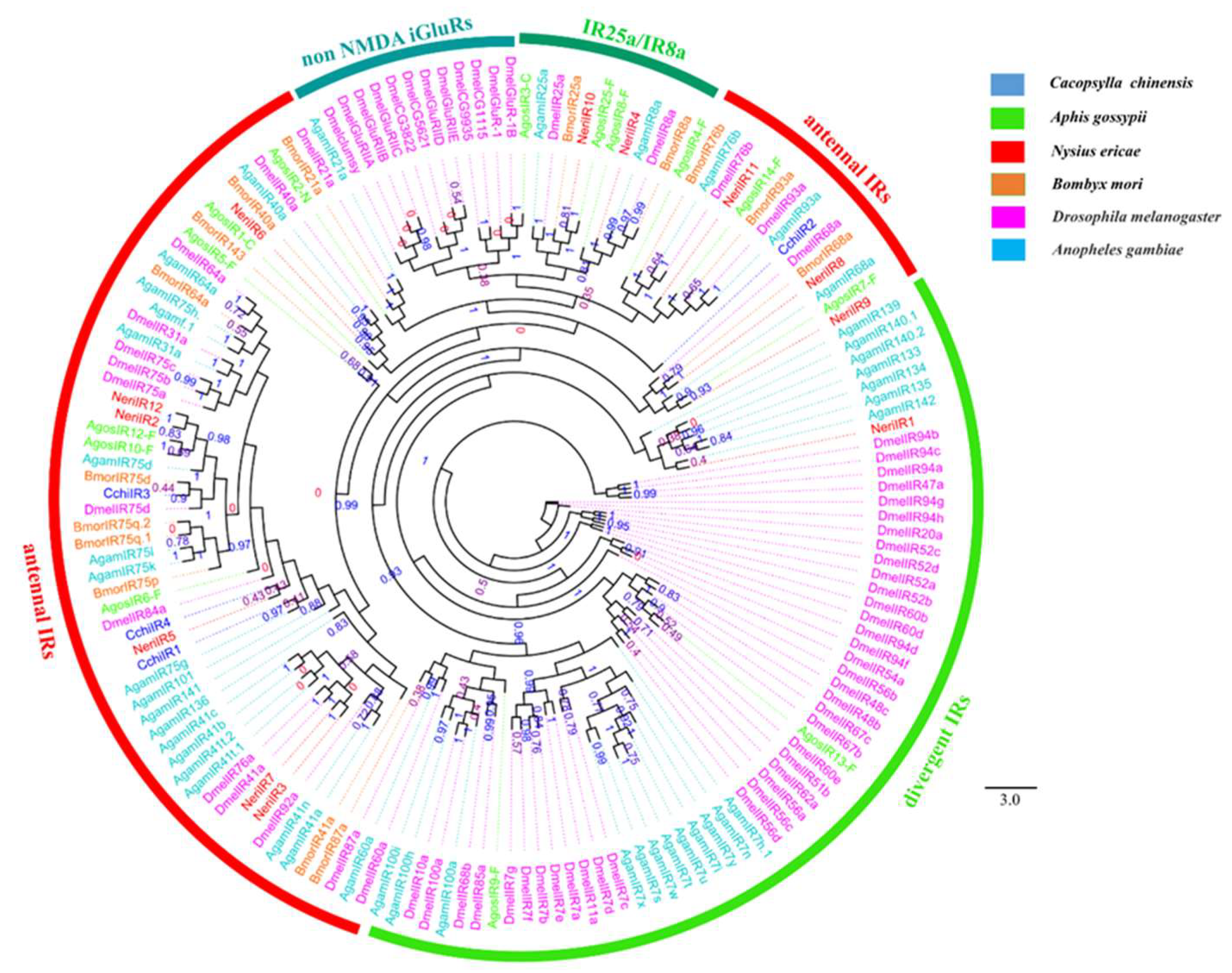 Insects 10 00175 g008 Insects 10 00175 g008