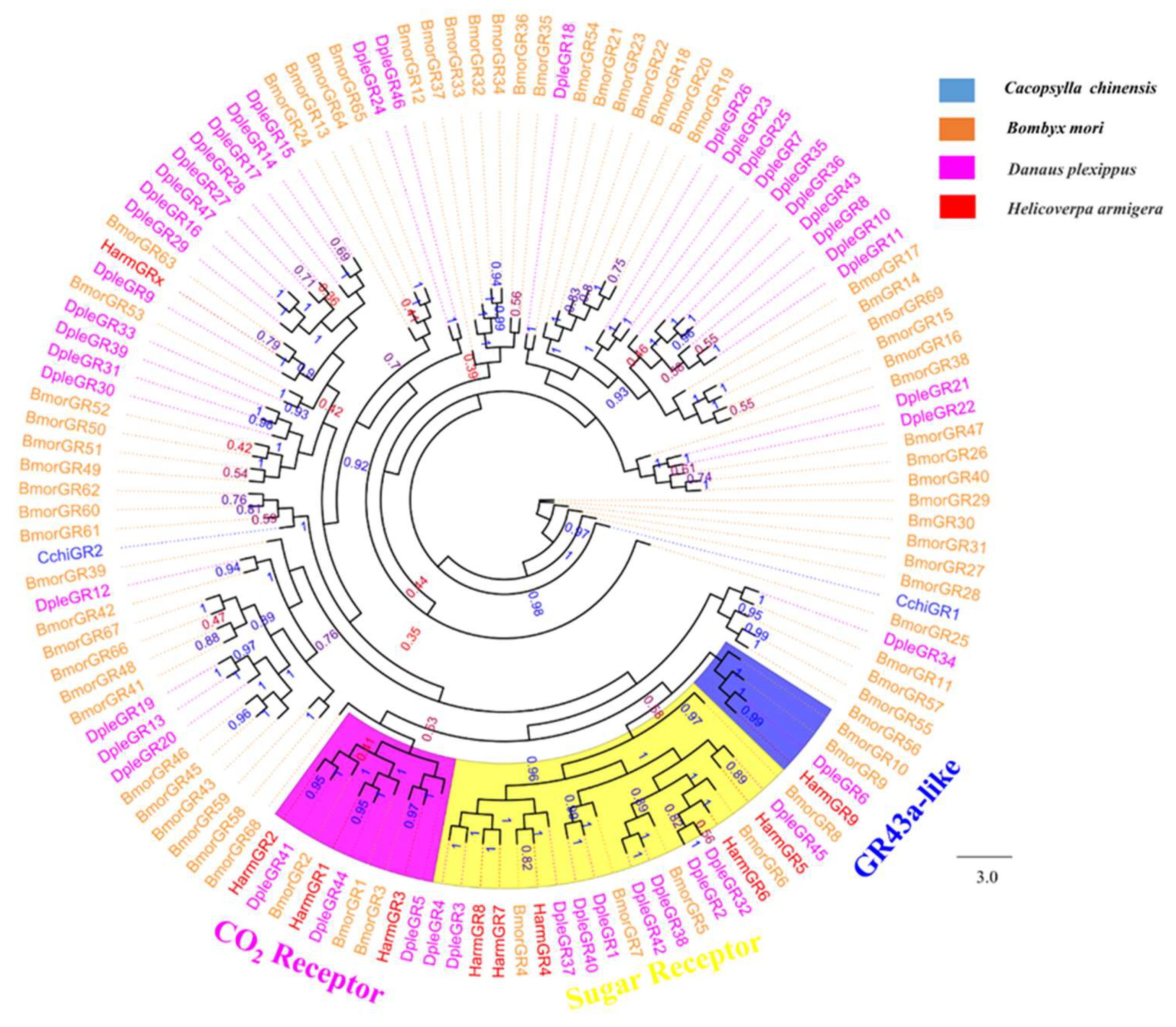 Insects 10 00175 g009 Insects 10 00175 g009