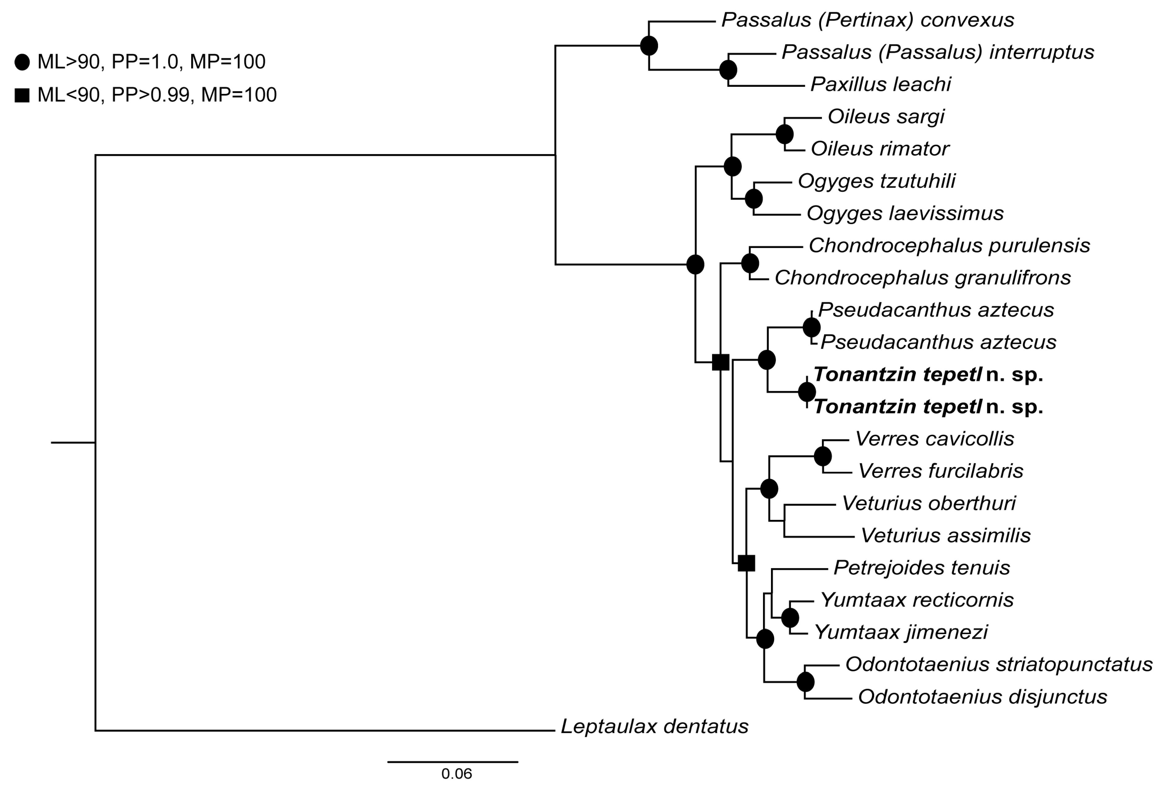 Insects 10 00188 g002 Insects 10 00188 g002