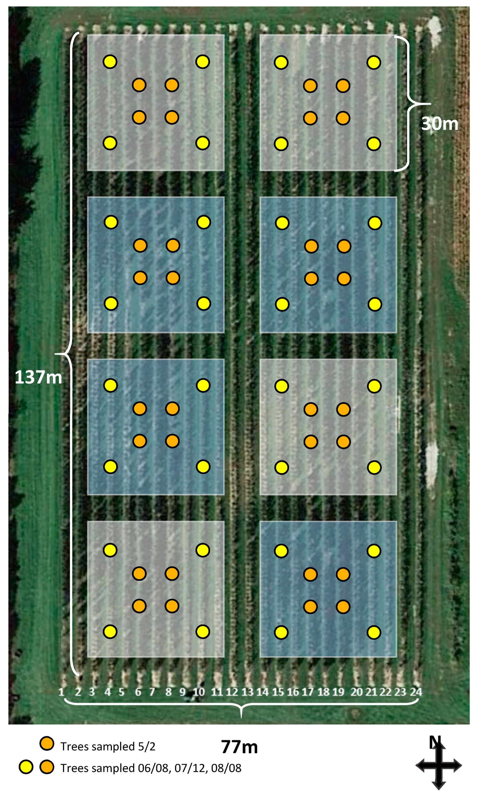 Insects 10 00193 g001