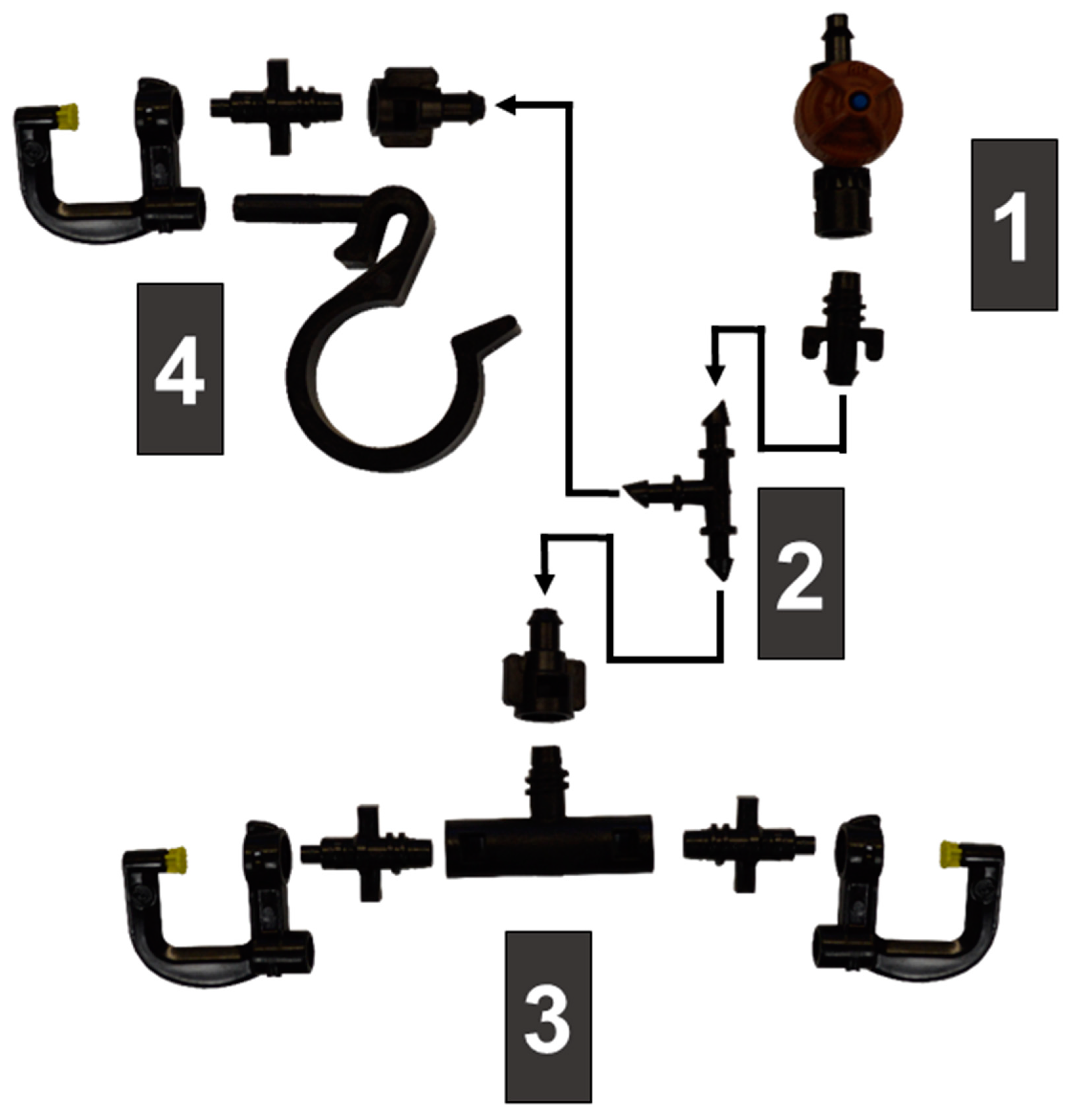 Insects 10 00193 g003