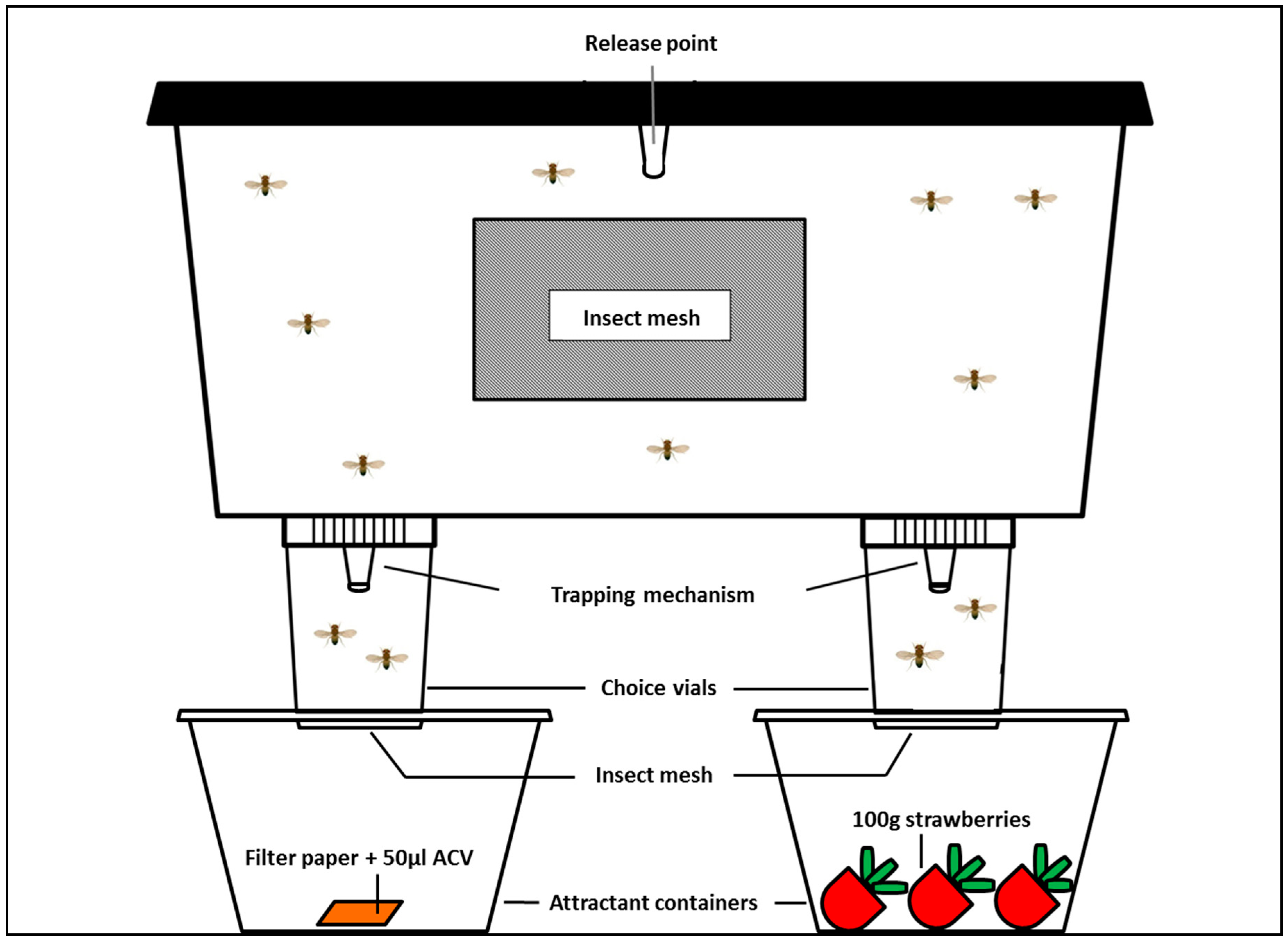 Insects 10 00200 g001