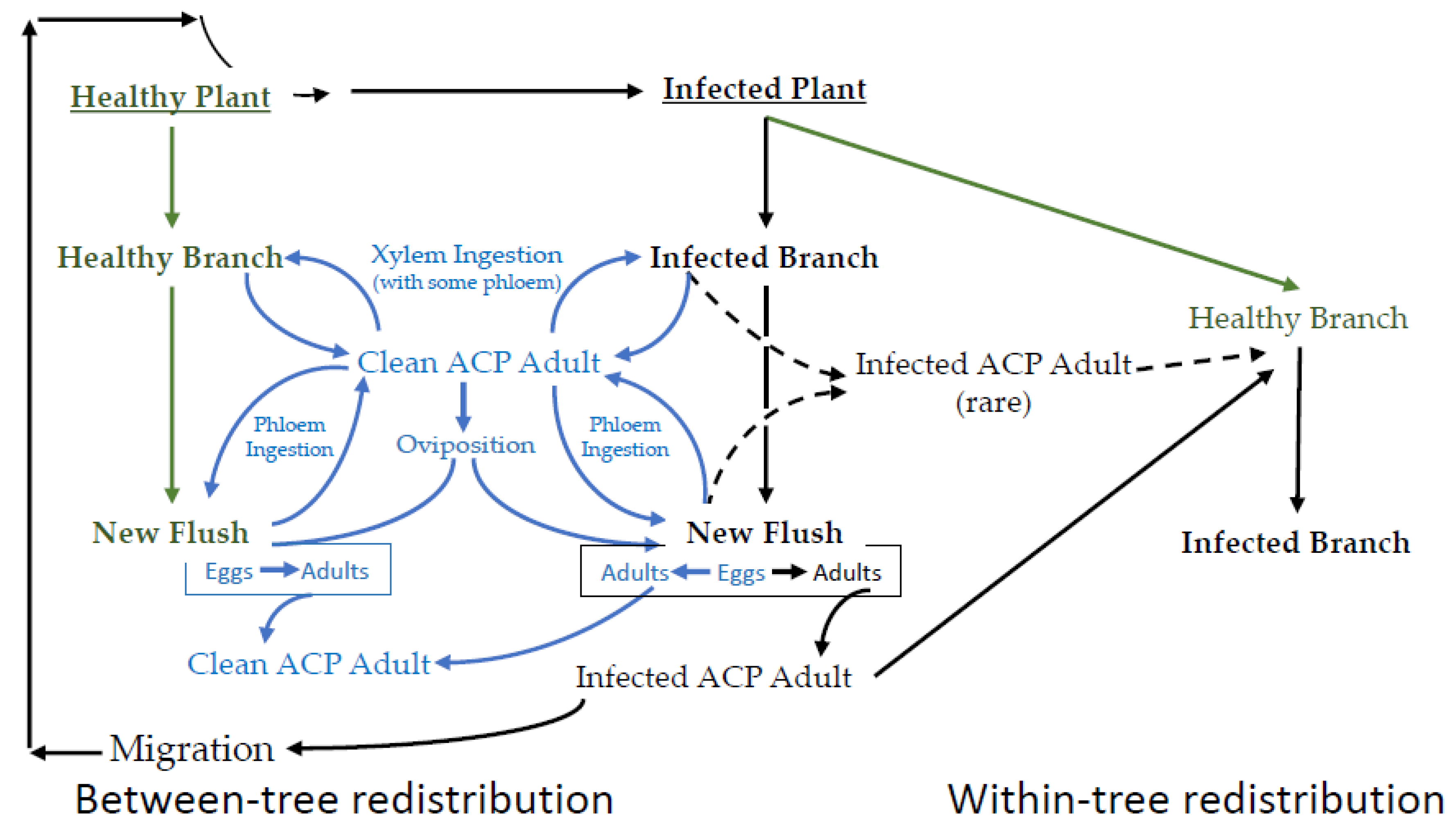 Insects 10 00212 g002 Insects 10 00212 g002