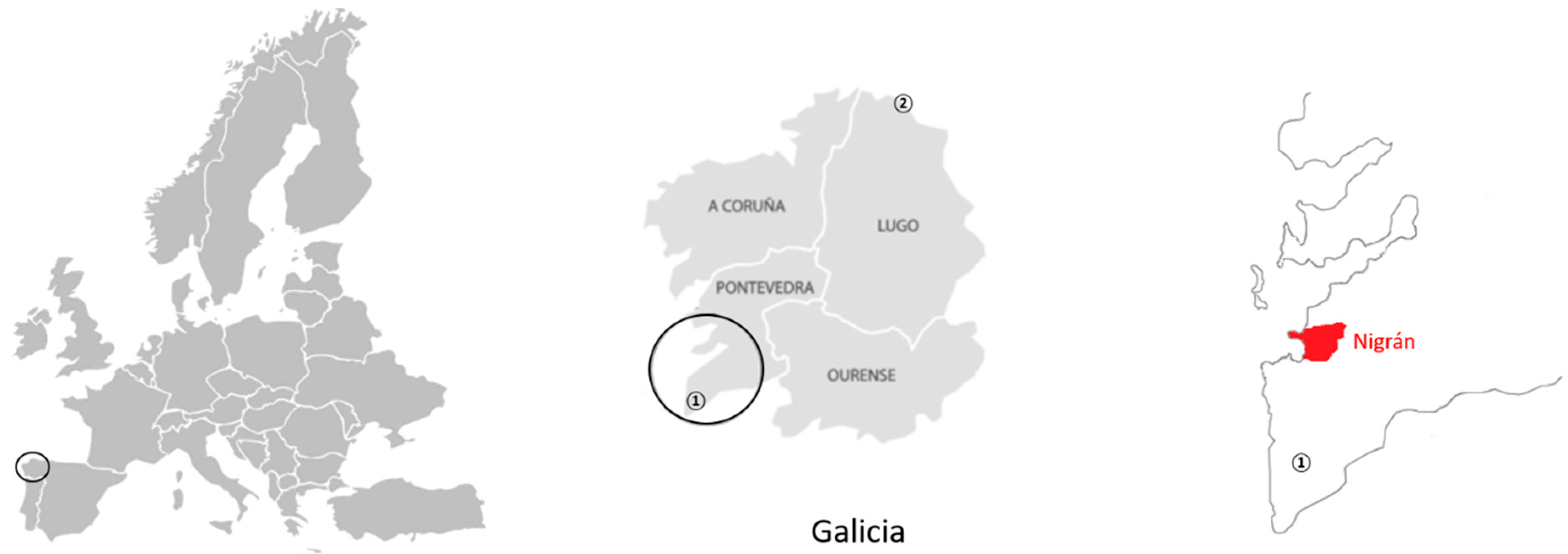 Insects 10 00237 g001