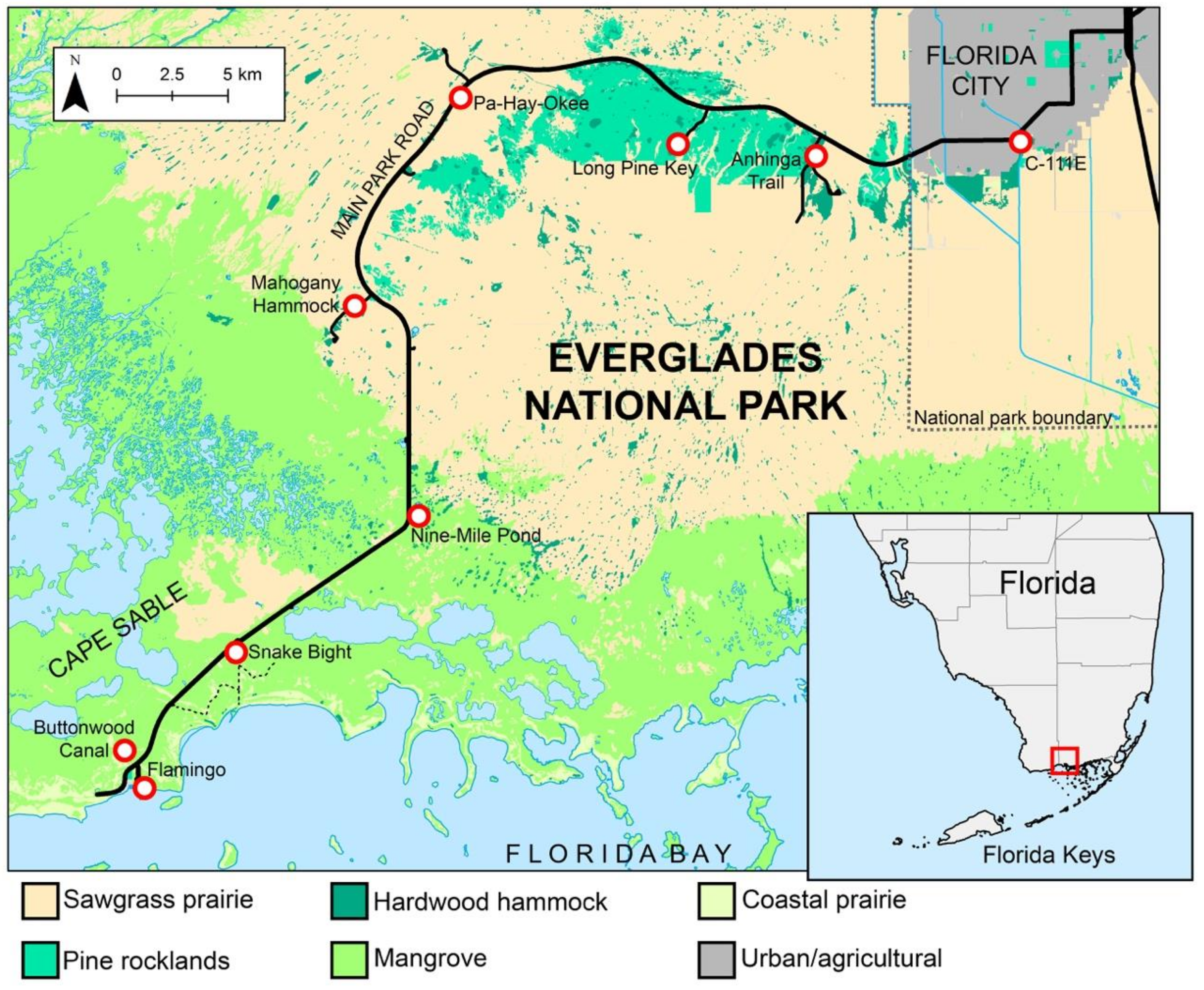 Insects 10 00239 g001