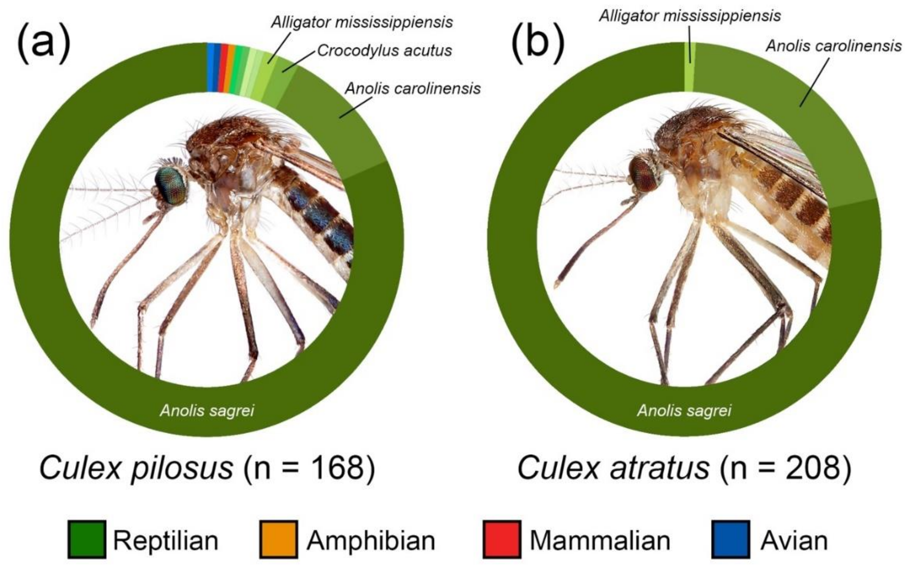 Insects 10 00239 g002