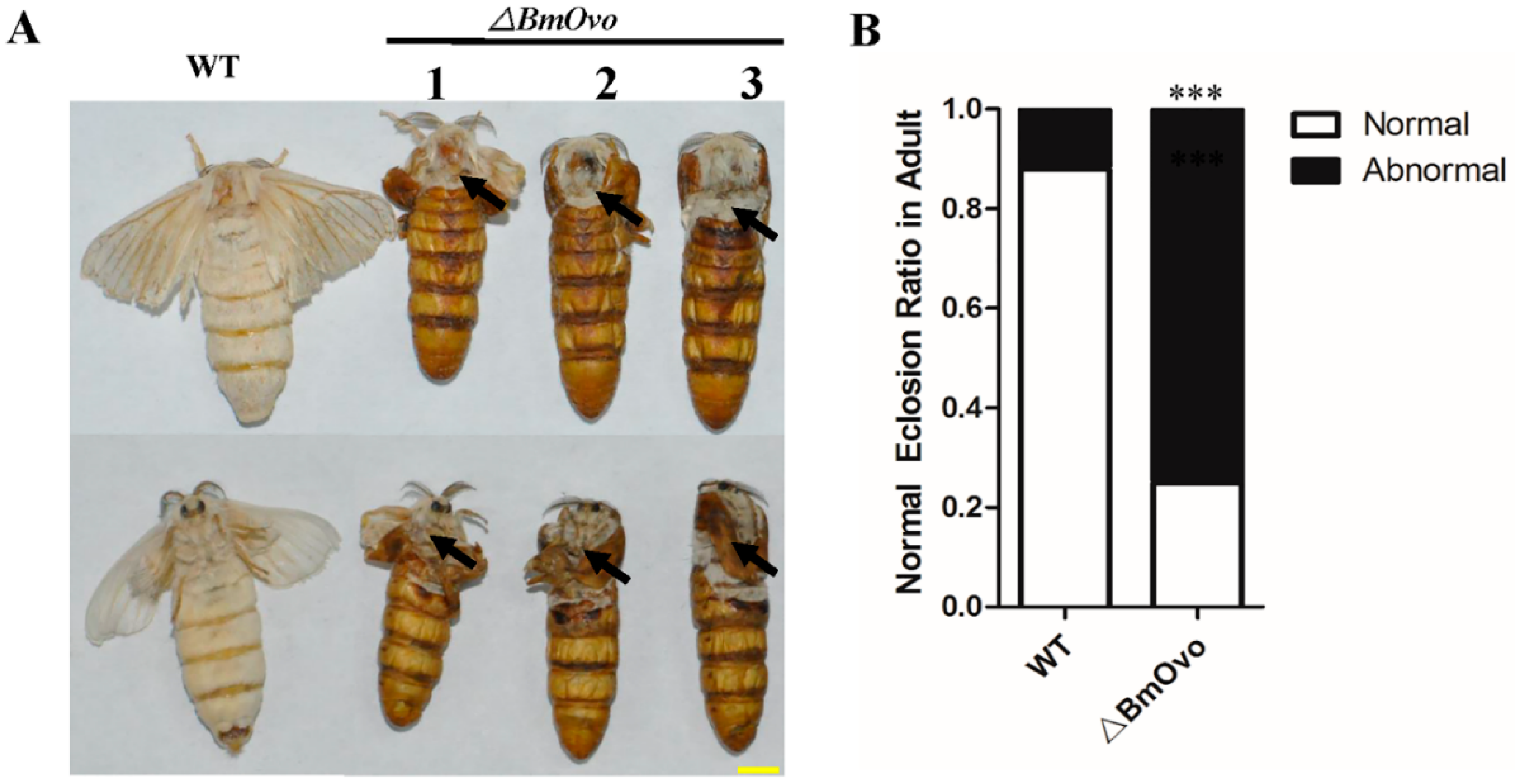 Insects 10 00254 g003 Insects 10 00254 g003
