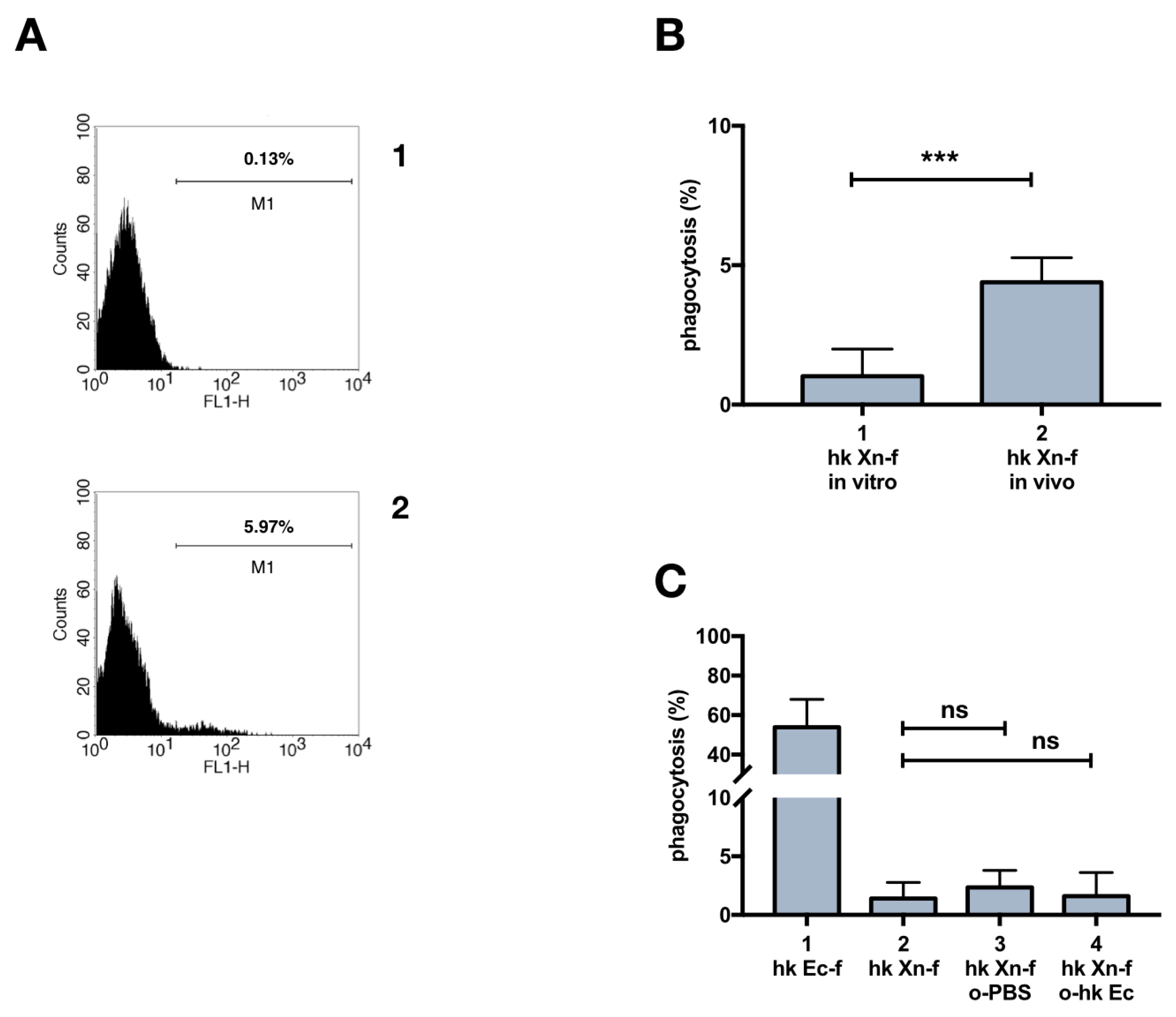 Insects 10 00263 g003